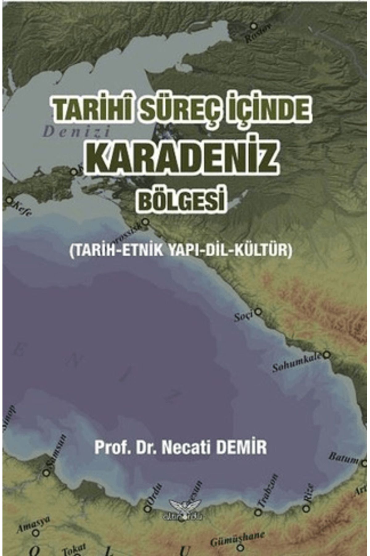 Altınordu Yayınları Tarihi Süreç İçinde Karadeniz Bölgesi