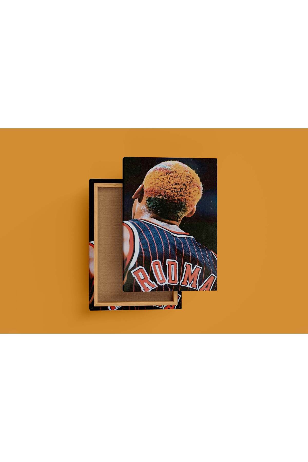 Wallivo head model 2, dennis rodman, sport, kanvas tablo