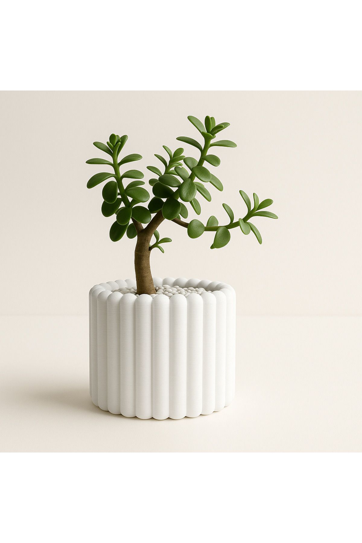 Slyvia TerraLine – Modern Çizgili 3D Baskı Saksı | Beyaz | 13,5 x 10 cm