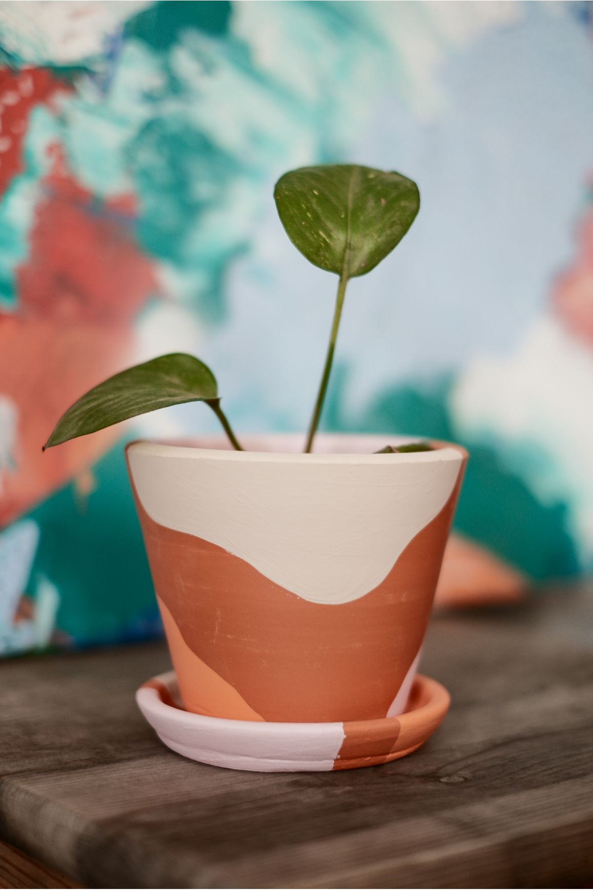 zef design store Terracotta Saksı+ Tabak - Pembe Turuncu 11cmx14cm (Orta)