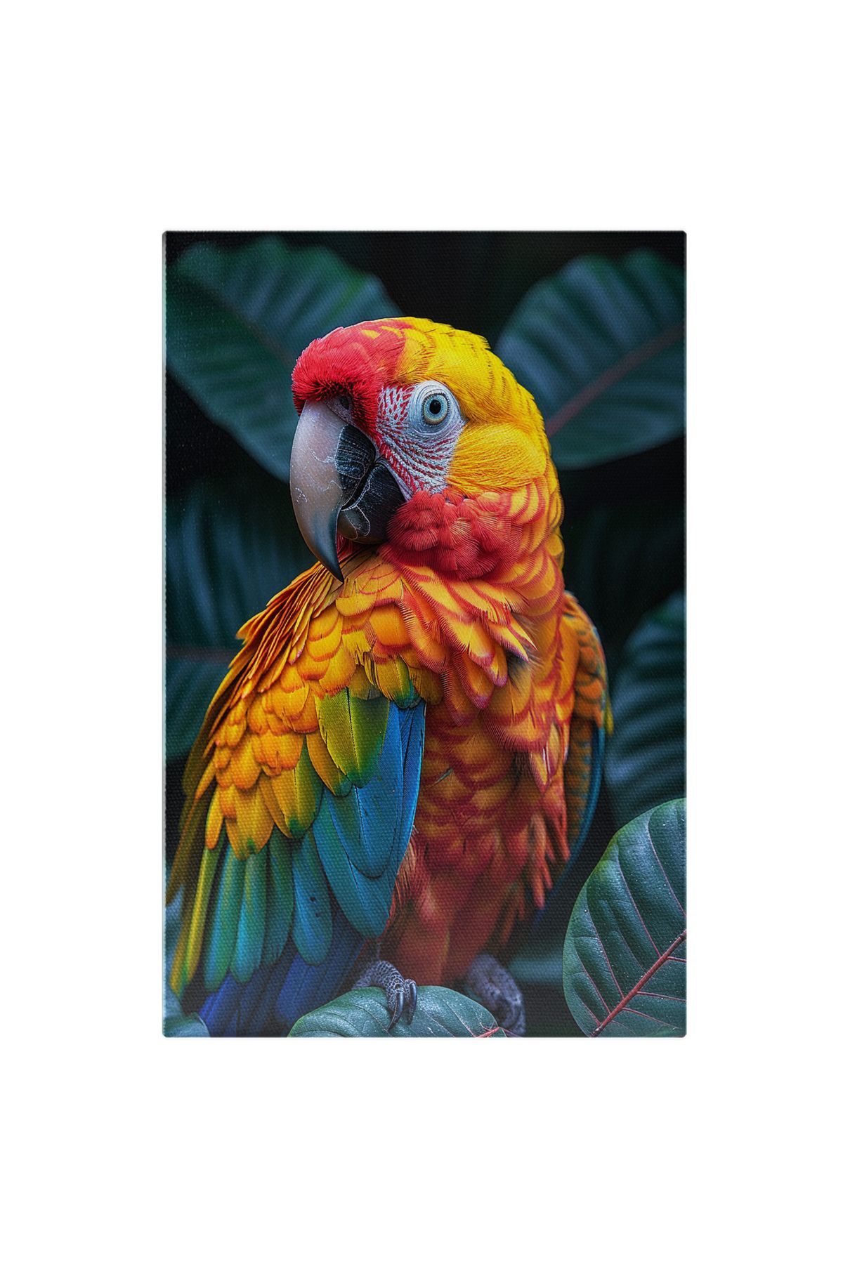 StoryGift Romania Tablou Canvas Papagalul Viu Colorat În Mediul Său De Viață Libertate Și Pene De Curcubeu , Pic - 40 x 25