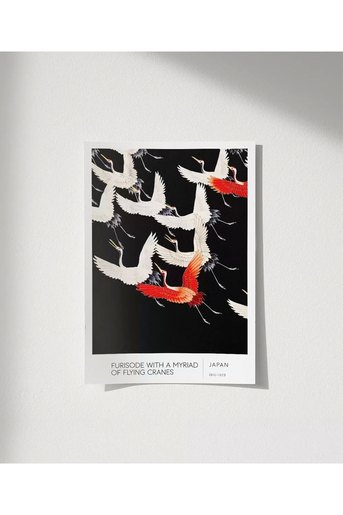 VOGLOO Çerçevesiz Poster Uçan Turnalar