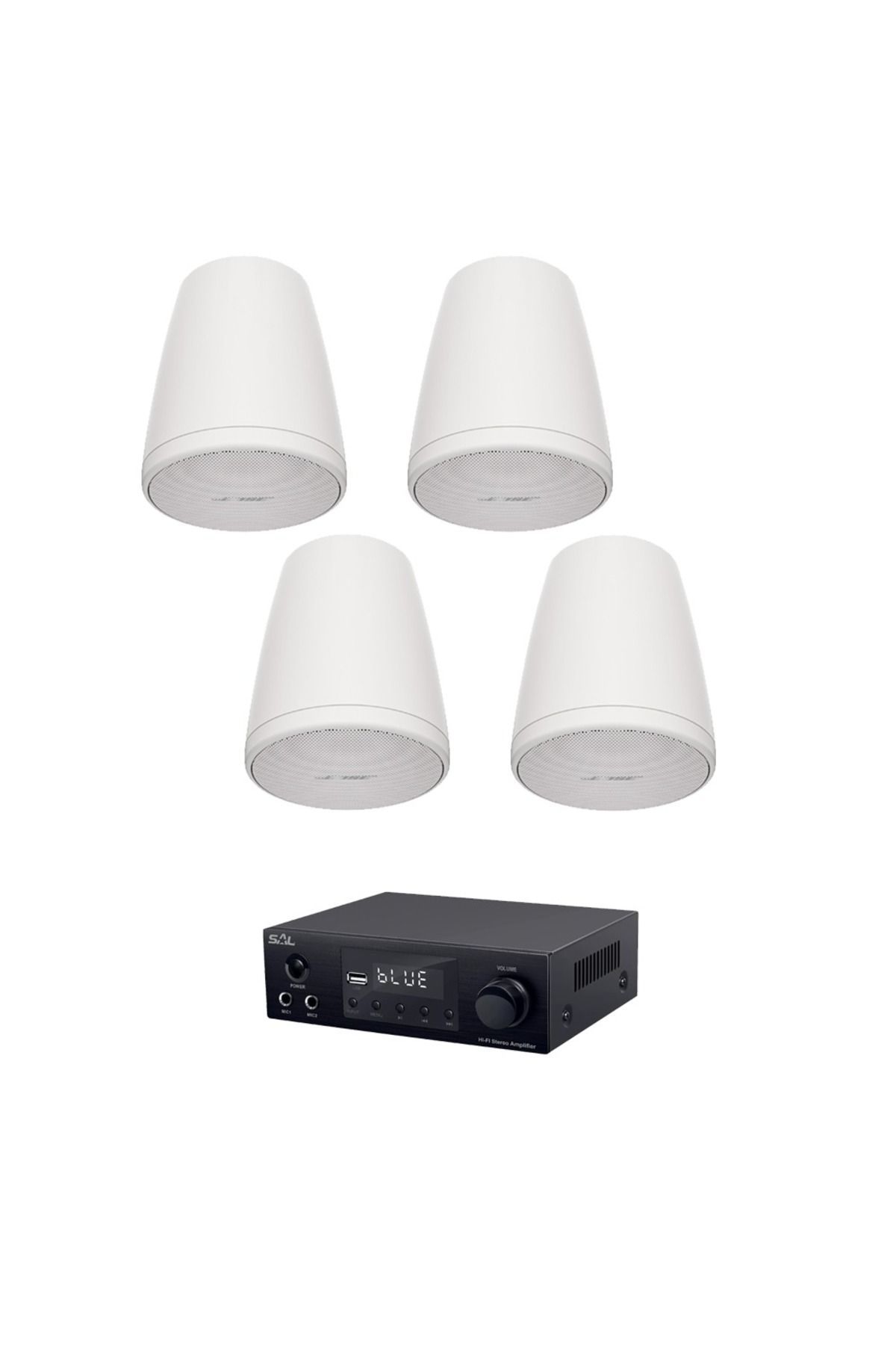 Bose-Bose Freespace FS2P White Pendant System, USB, FM, bluetooth 1