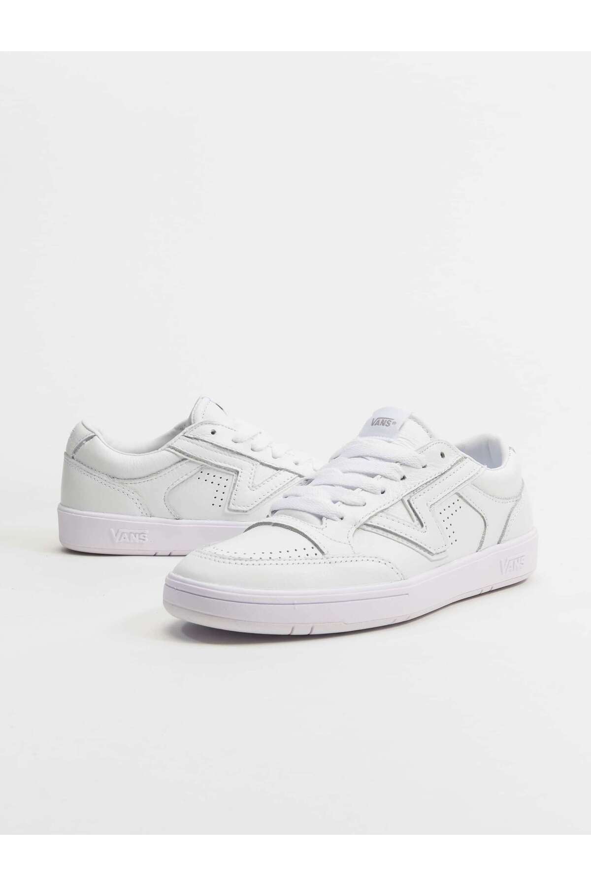 Vans-Unisex Ua Lowland Cc Schuhe 1