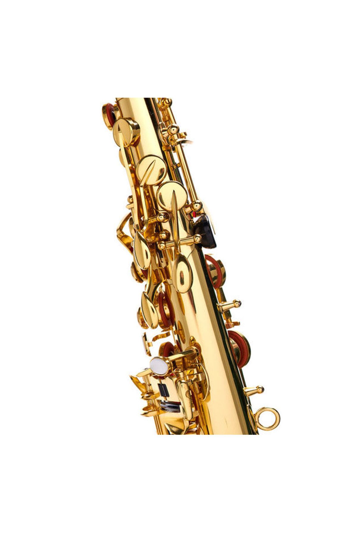Startone-Alto Saxophone Startone SAS 75 5