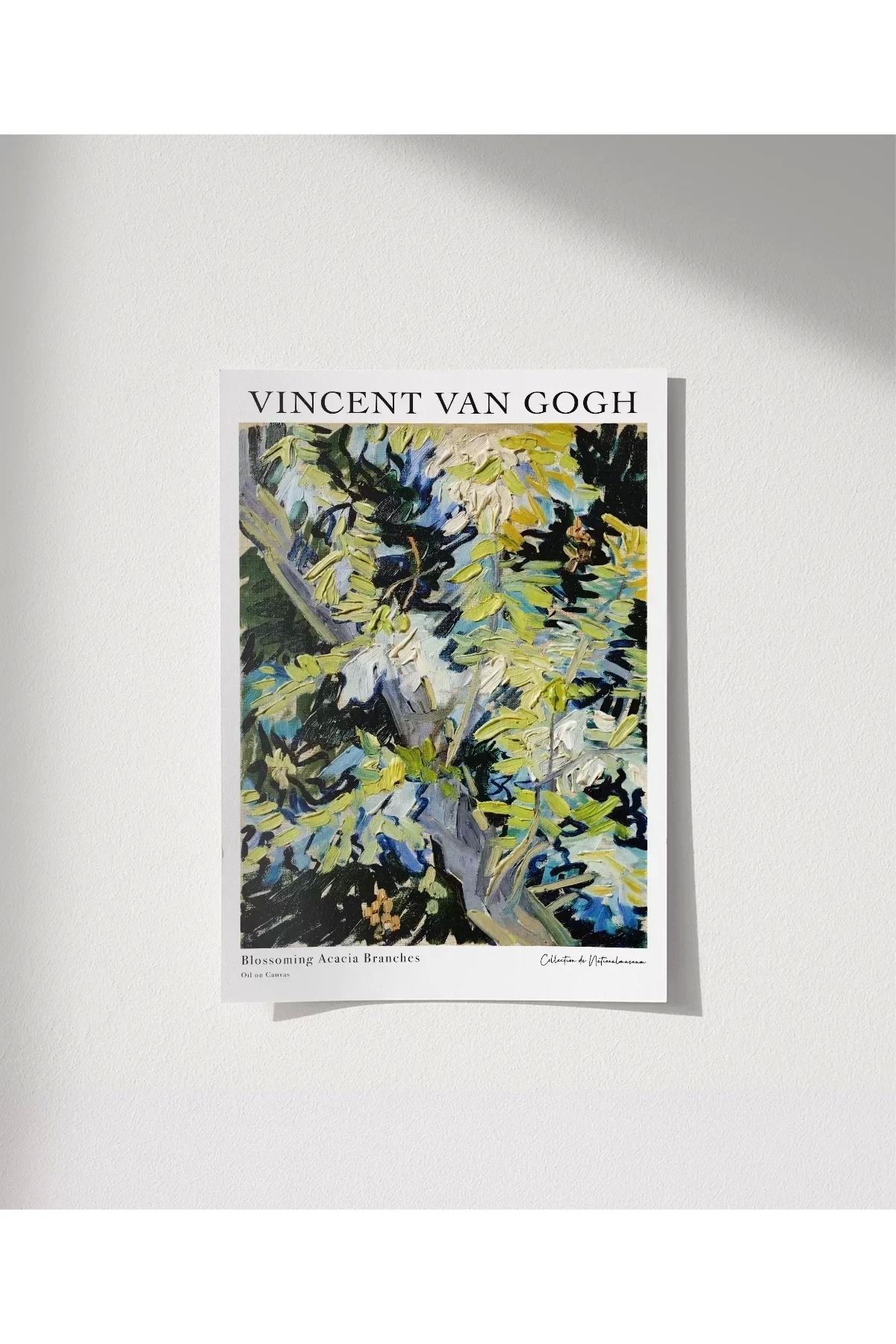 VOGLOO Çerçevesiz Poster Van Gogh Çiçek Açan Akasya Dalları
