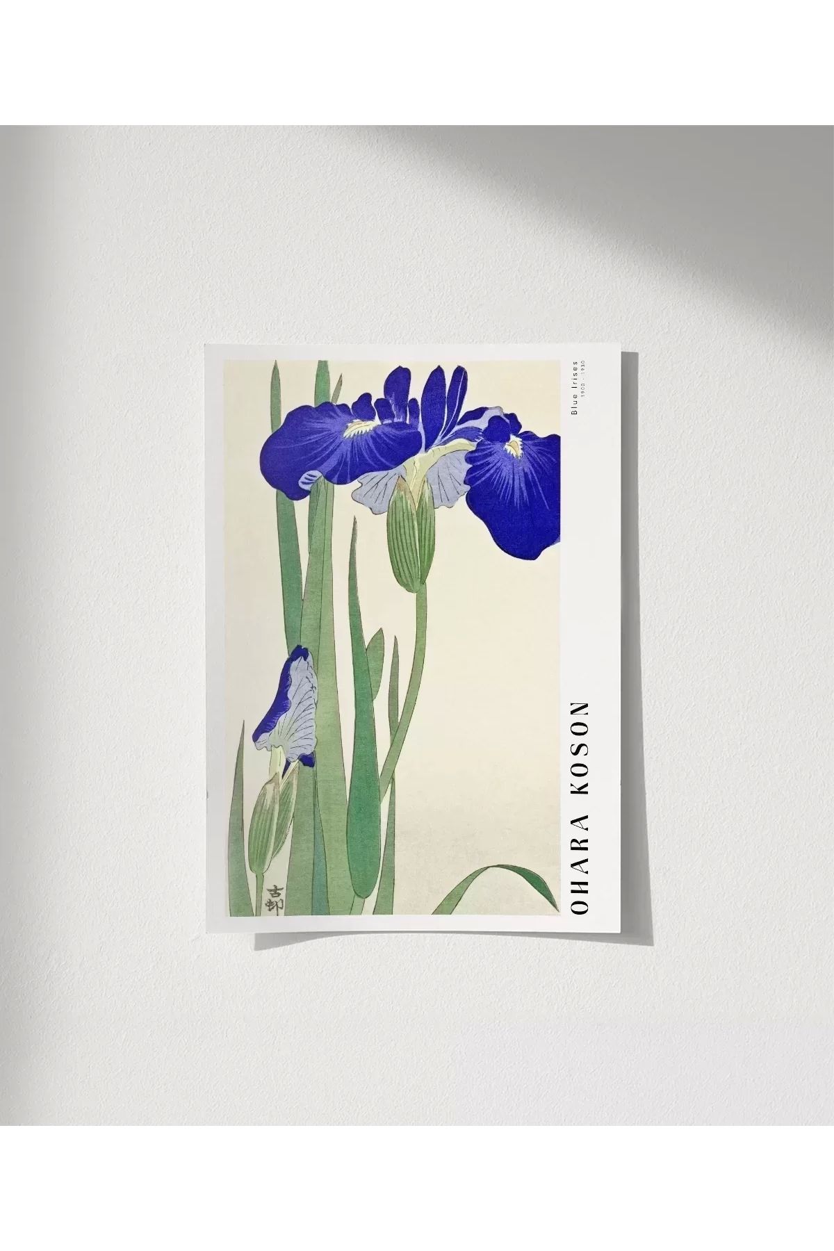 VOGLOO Çerçevesiz Poster Ohara Koson Mavi Irisler