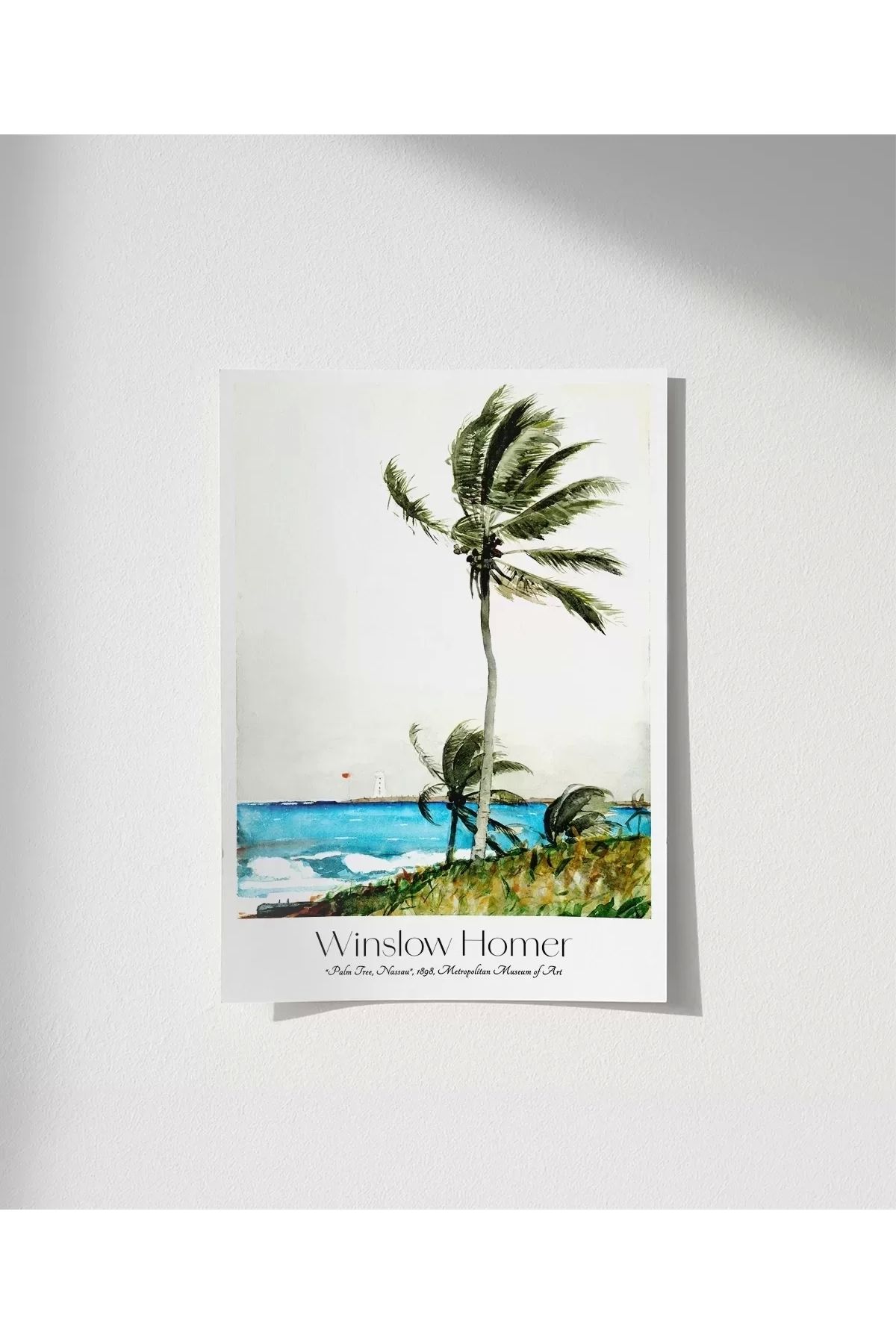 VOGLOO Çerçevesiz Poster Winslow Homer Palmiye Ağacı, Nassau 2