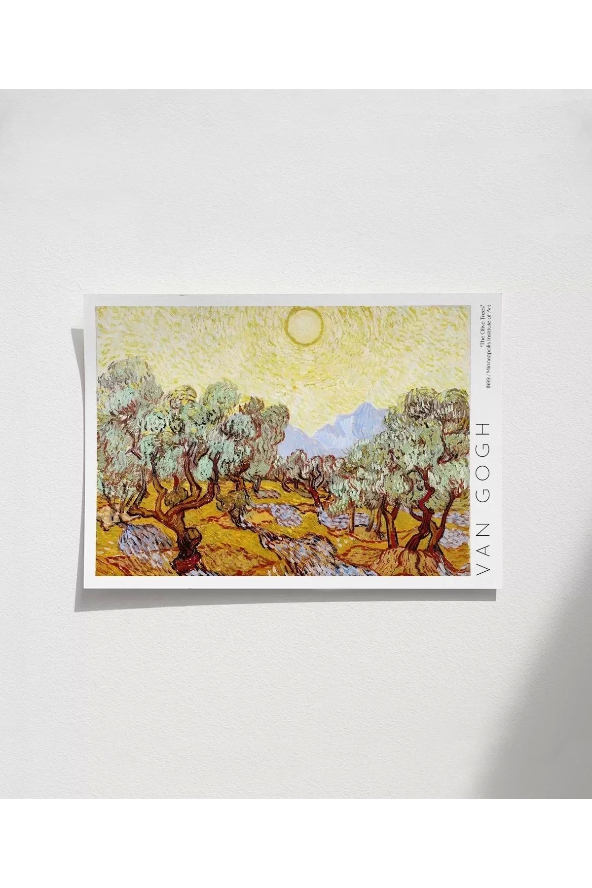 VOGLOO Çerçevesiz Poster Vincent Van Gogh Zeytin Ağaçları