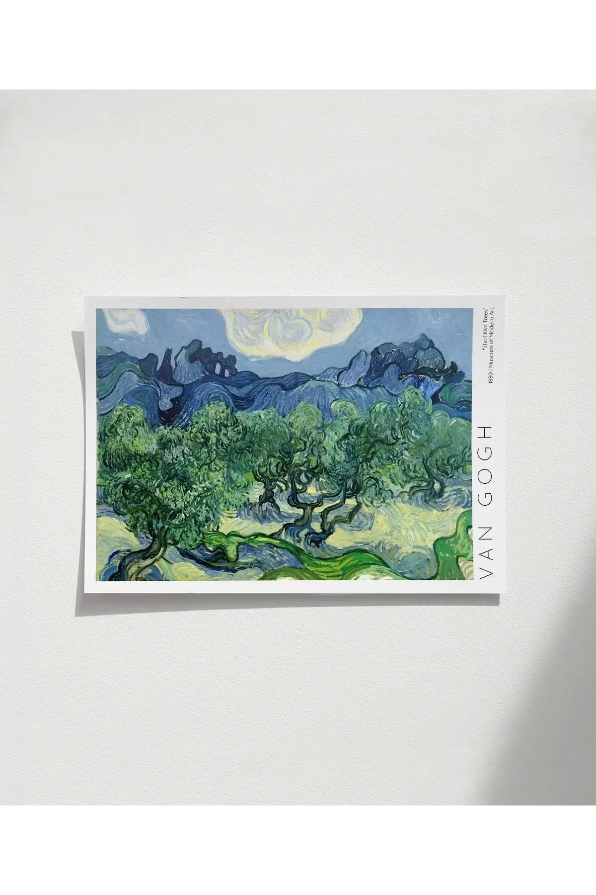 VOGLOO Çerçevesiz Poster Vincent Van Gogh Zeytin Ağaçları (2)