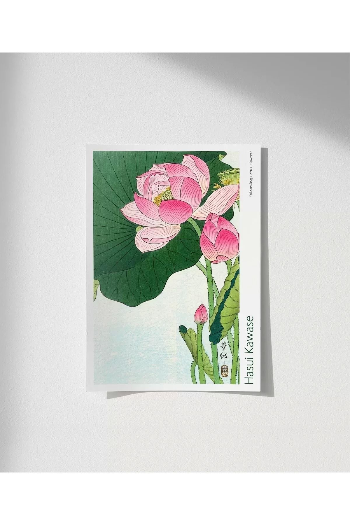 VOGLOO Çerçevesiz Poster Ohara Koson Çiçek Açan Lotus Çiçekleri 2