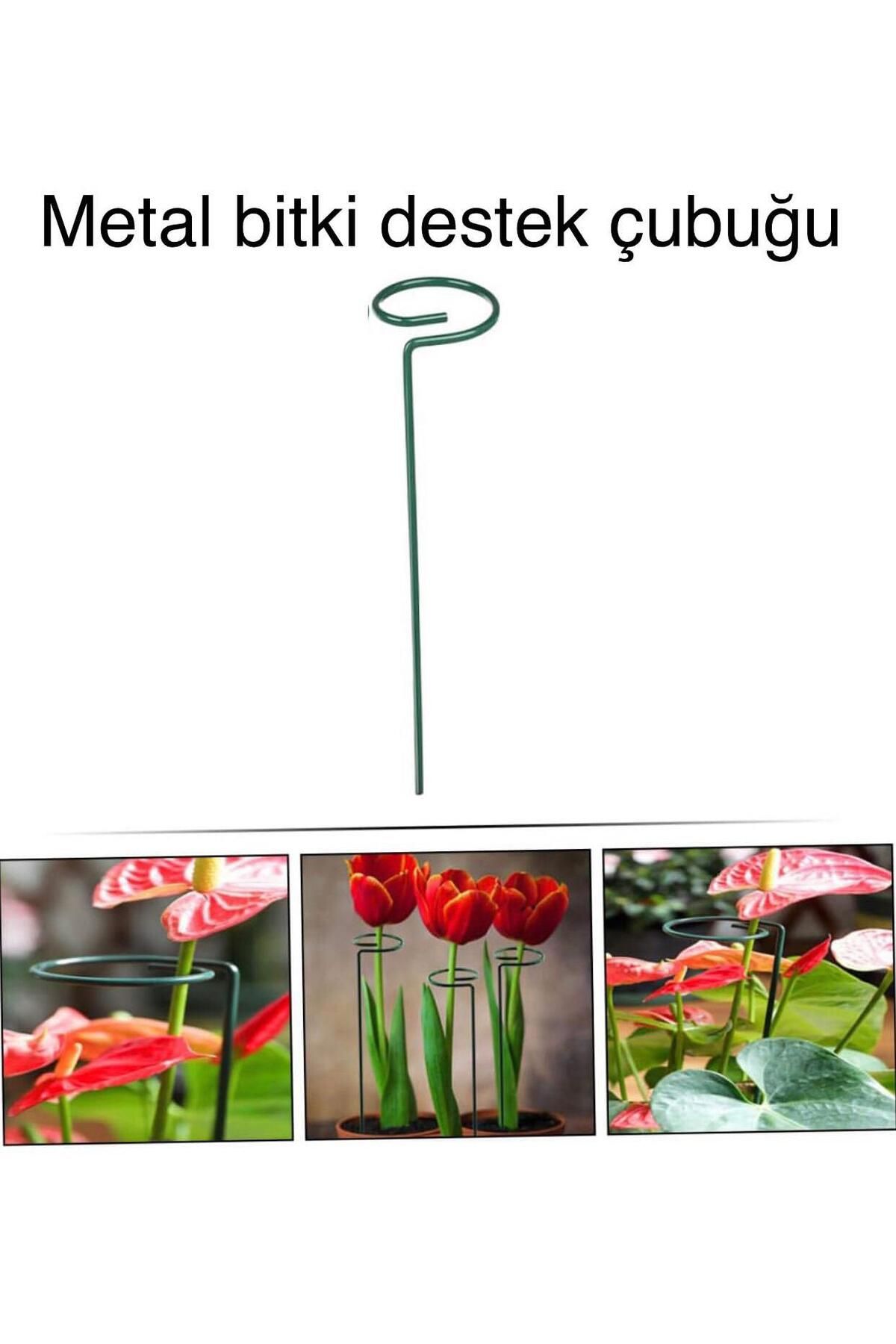 BGA 2 Adet metal bitki destek çubuğu saksı çiçek fidan dal sarmaşık destek çubuğu