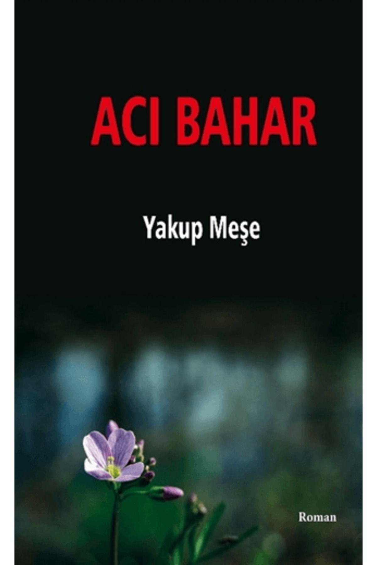 J & J Acı Bahar