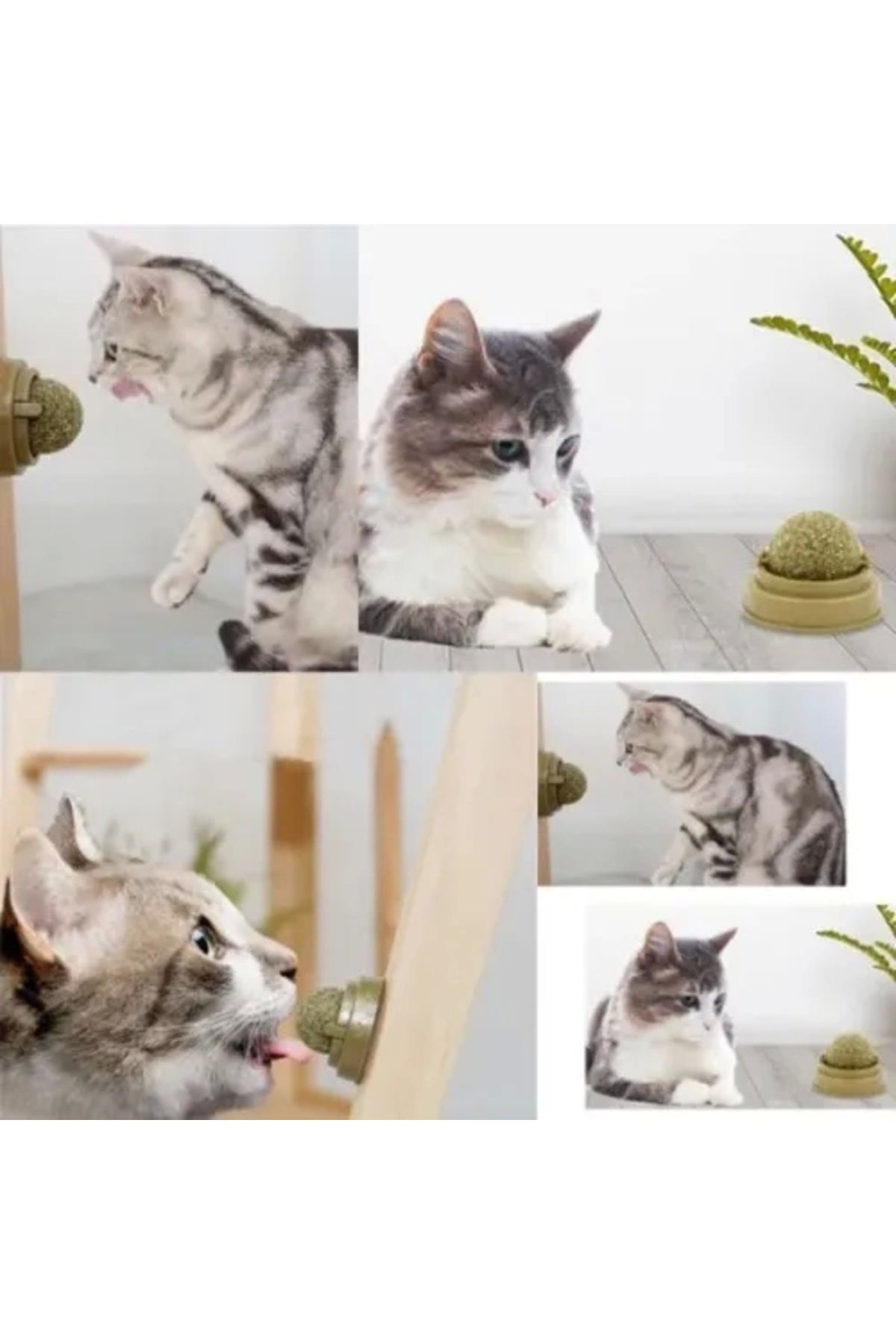 PRATİKOBA Kedi Nanesi Oyun Topu