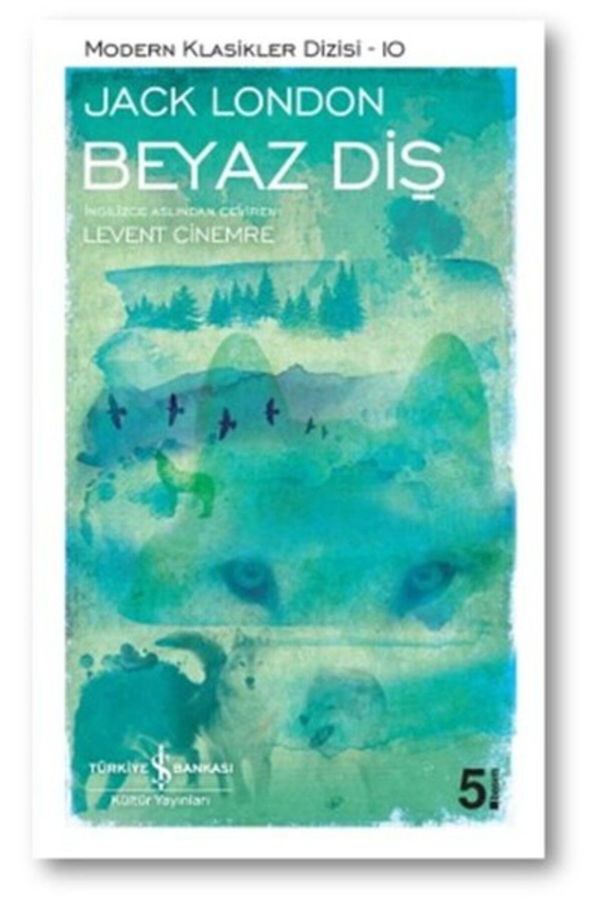 Destek Yayınları Beyaz Diş Modern Klasikler Dizisi