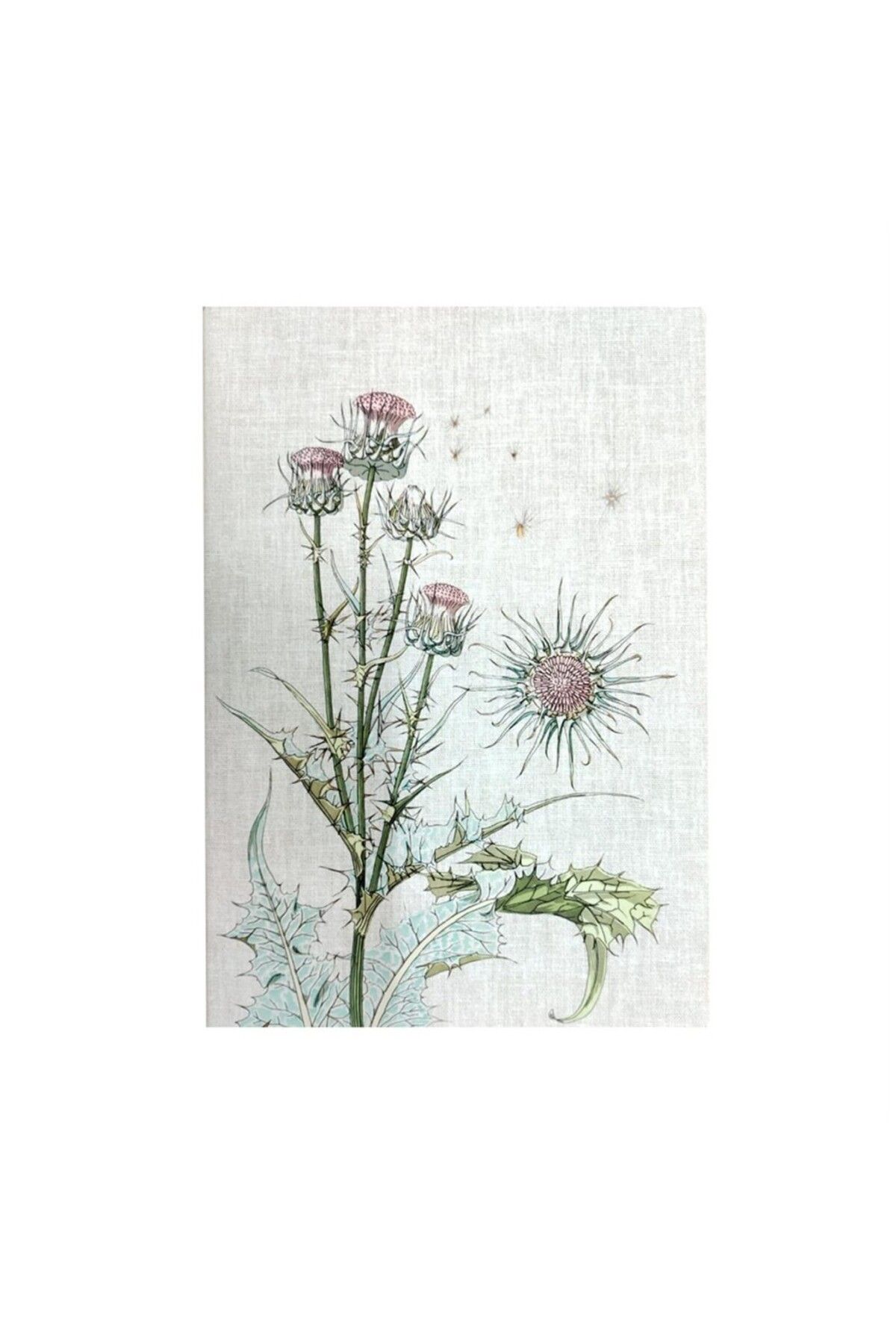 MUUS Plante Thistle 16,5x23,5 Çizgili Defter