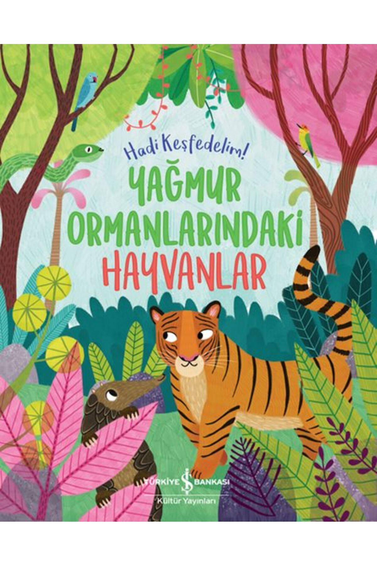 Destek Yayınları Yağmur Ormanlarındaki Hayvanlar – Hadi Keşfedelim!