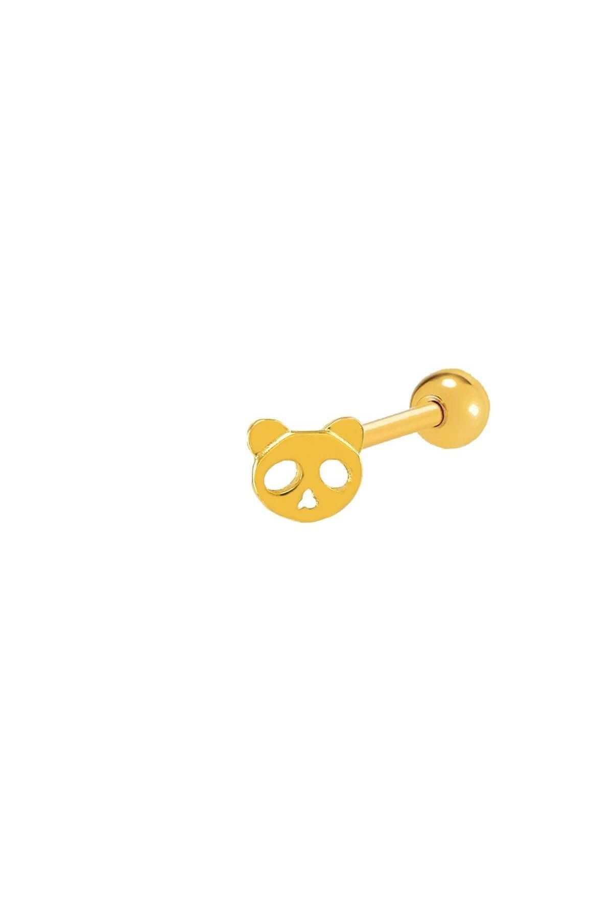 vogutima PANDA TRAGUS