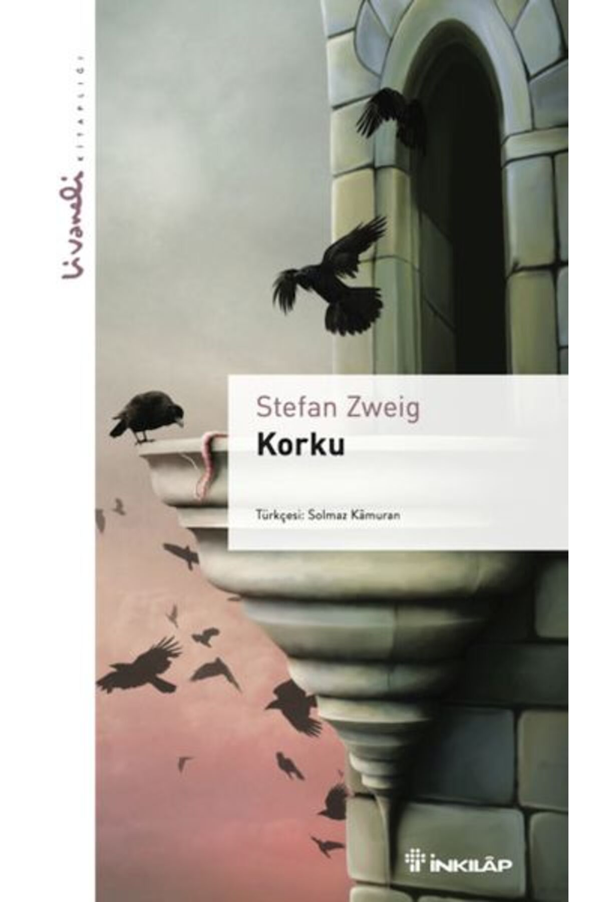 Destek Yayınları Korku - Livaneli kitaplığı