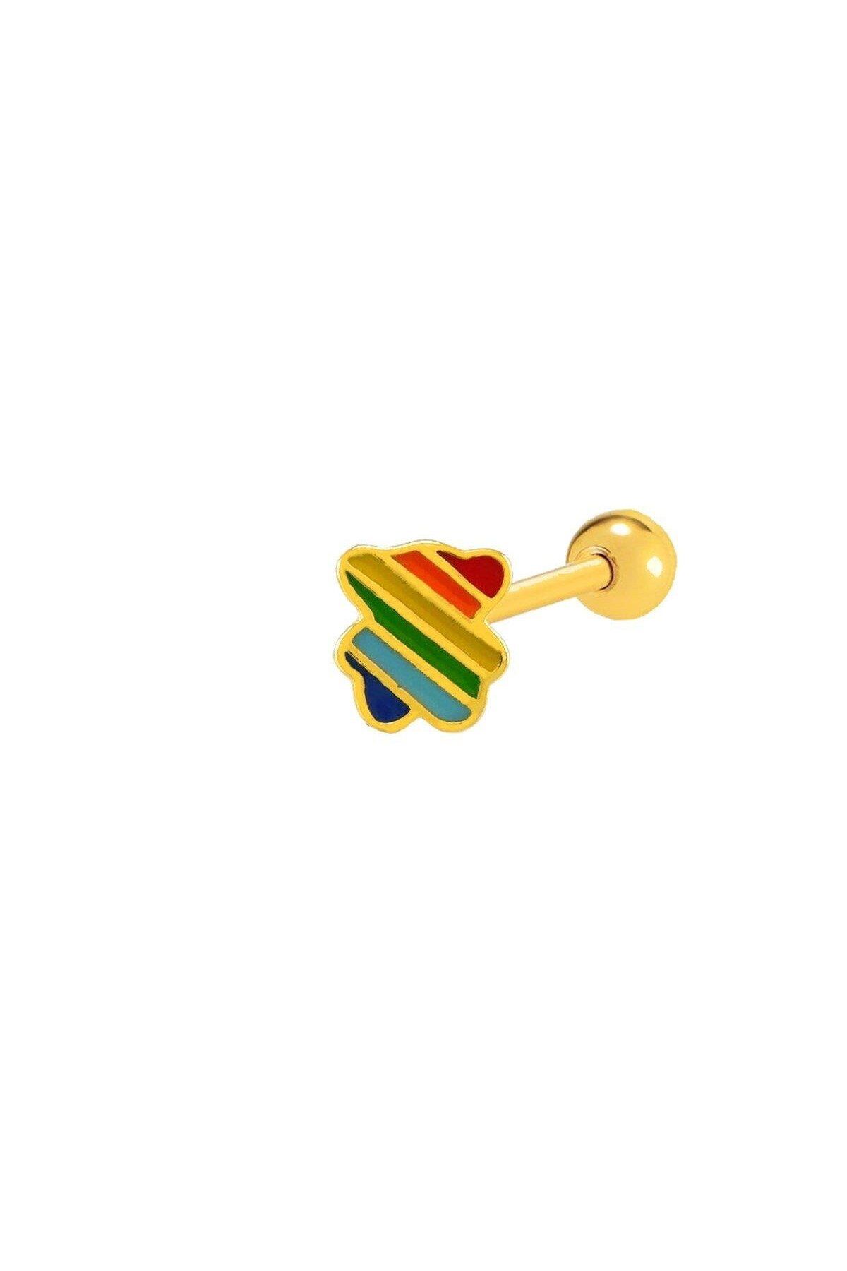 vogutima TEDDY BEAR TRAGUS