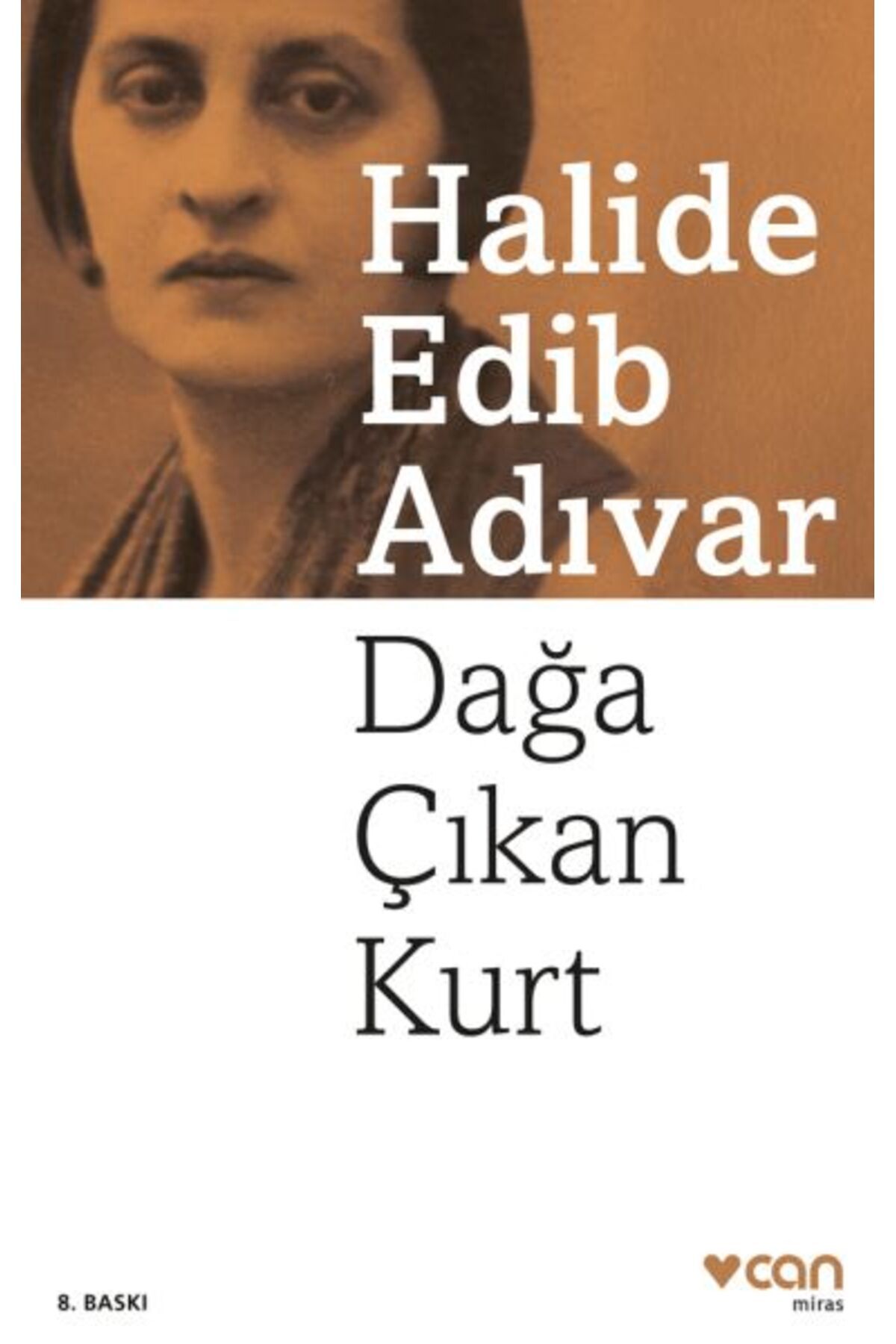 Destek Yayınları Dağa Çıkan Kurt