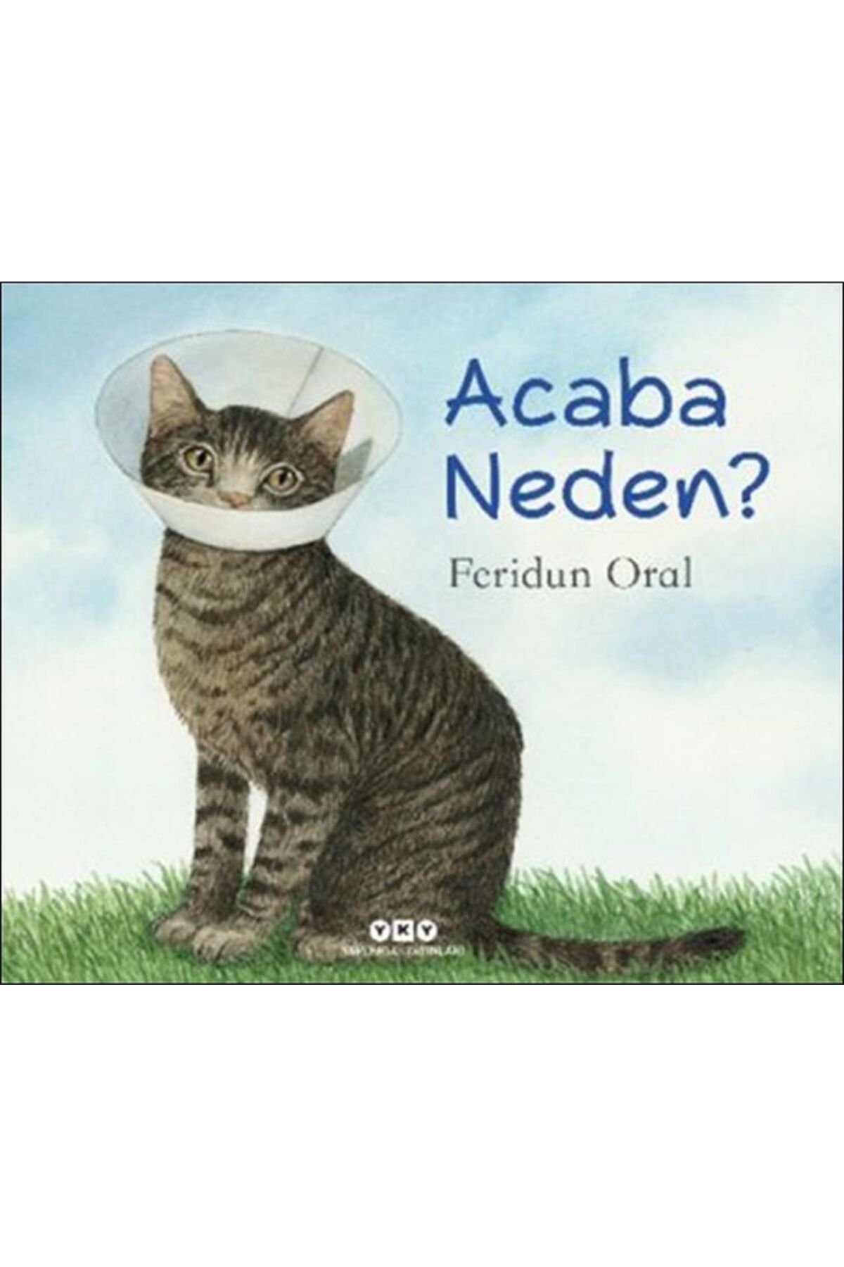 Destek Yayınları Acaba Neden