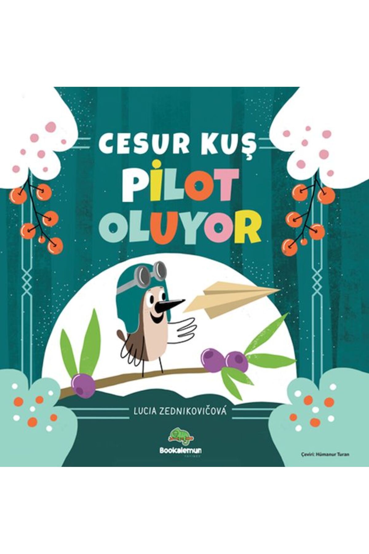 bookalemun yayınevi Cesur Kuş Pilot Oluyor