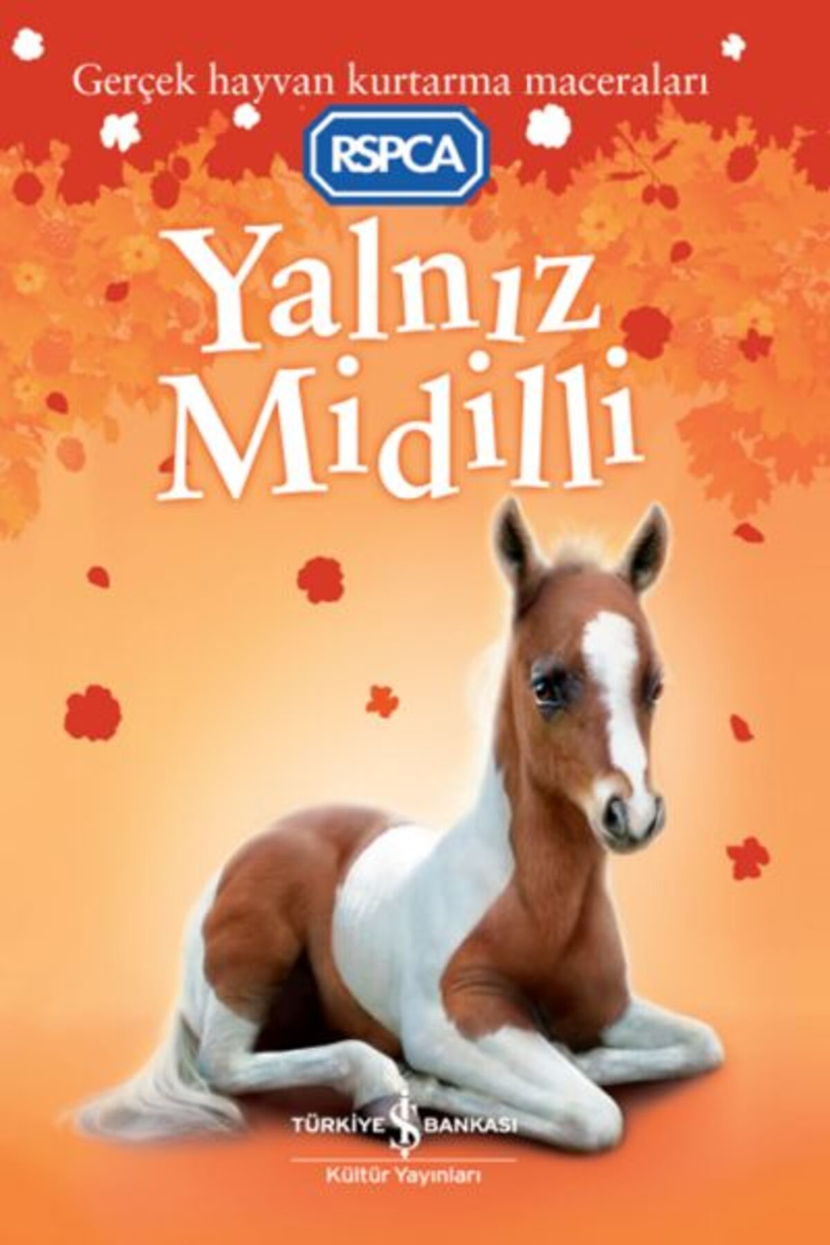 TÜRKİYE İŞ BANKASI KÜLTÜR YAYINLARI Yalnız Midilli