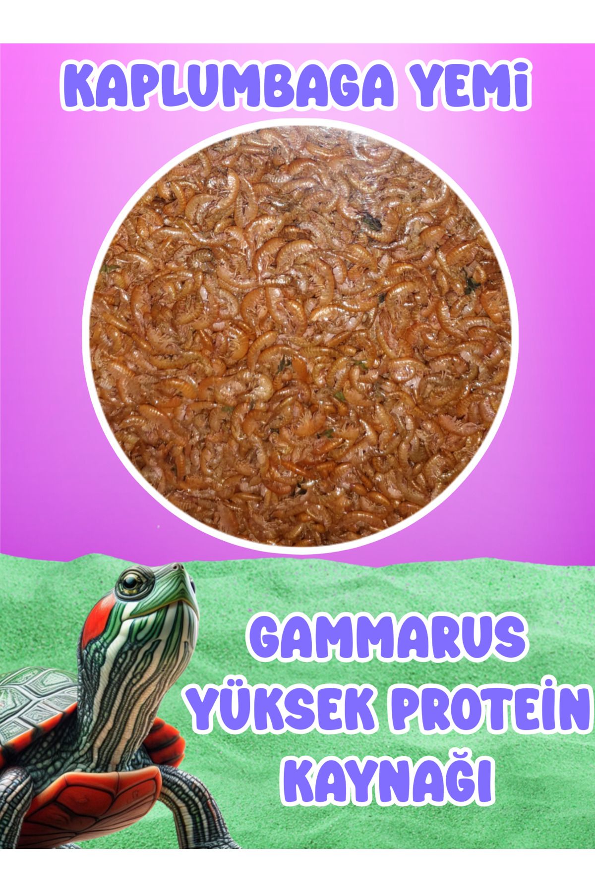 MDİZMİR Kaplumbağa Yemi Gammarus ( Kurutulmuş Karides ) Sürüngen, Hamster, Beta, Balık Türleri için Yem