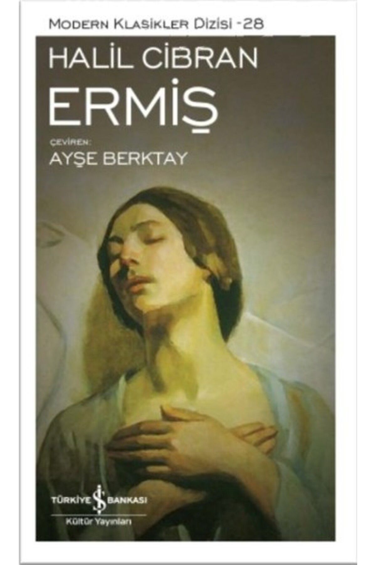 Destek Yayınları Ermiş Modern Klasikler Dizisi