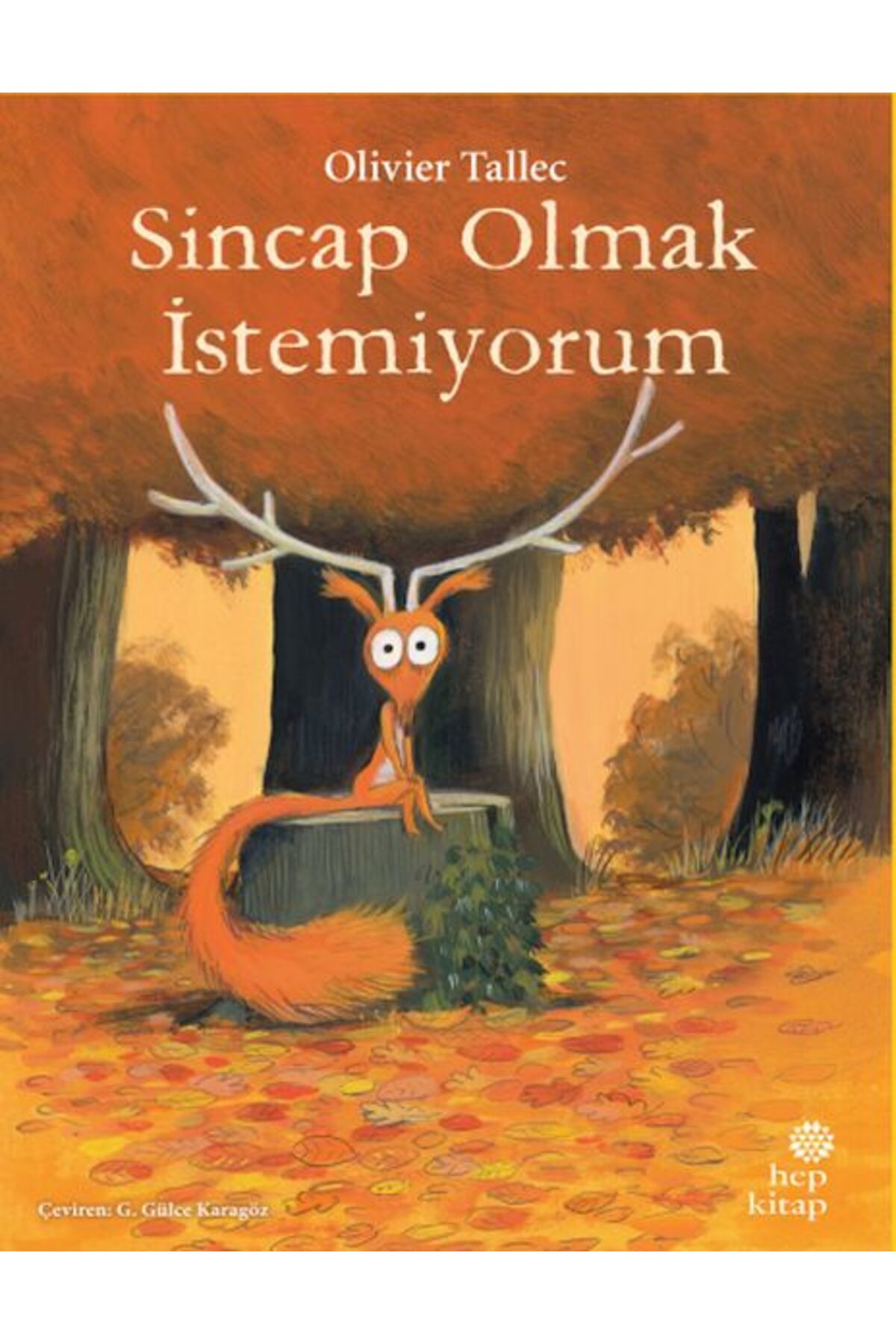 Destek Yayınları Sincap Olmak İstemiyorum