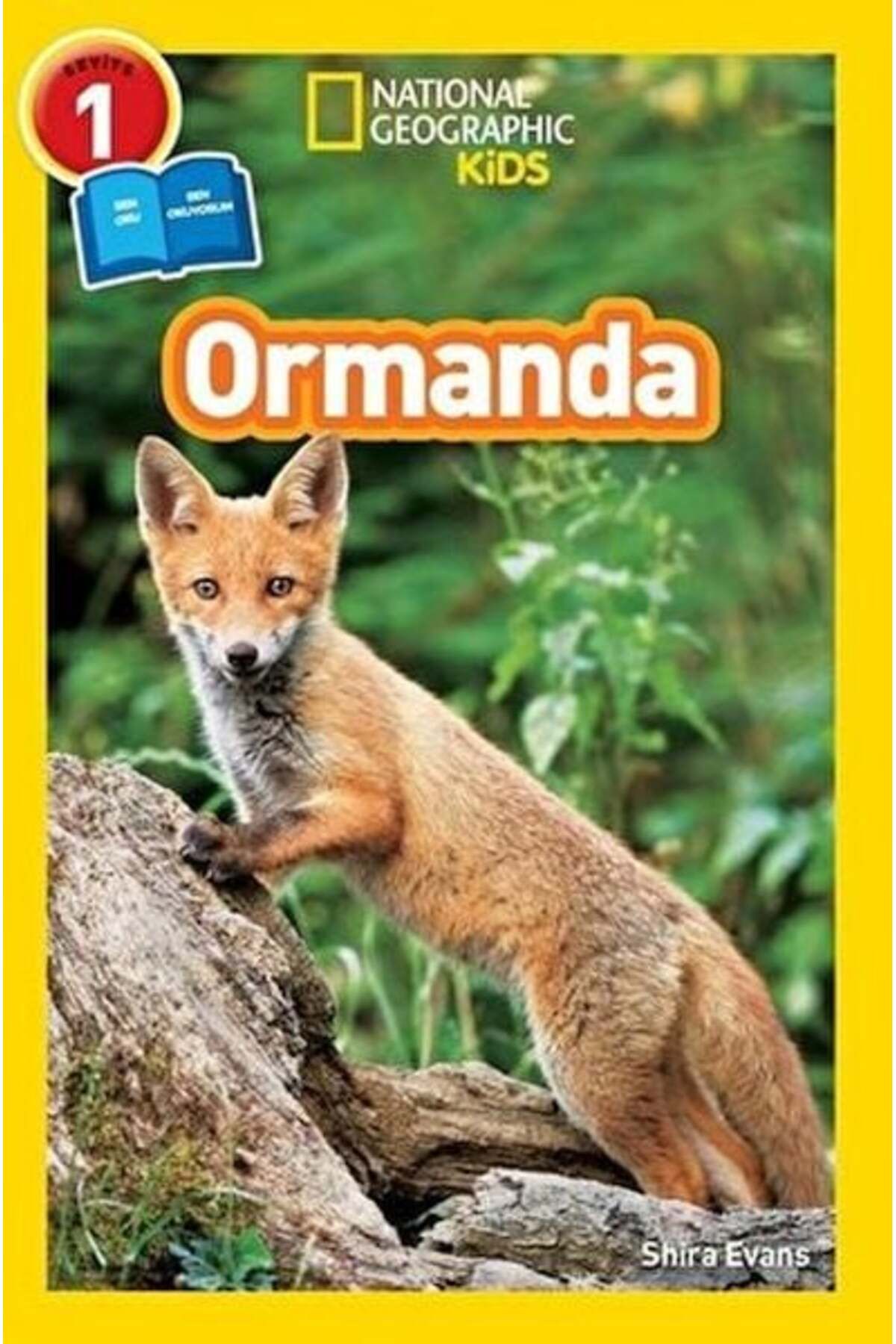 Destek Yayınları Ormanda Seviye 1