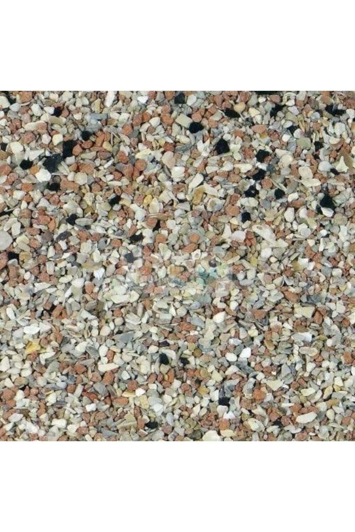 Versele Laga Prestige Grit Anasonlu Mercan Kırıklı Kuş Kumu 500 Gr.