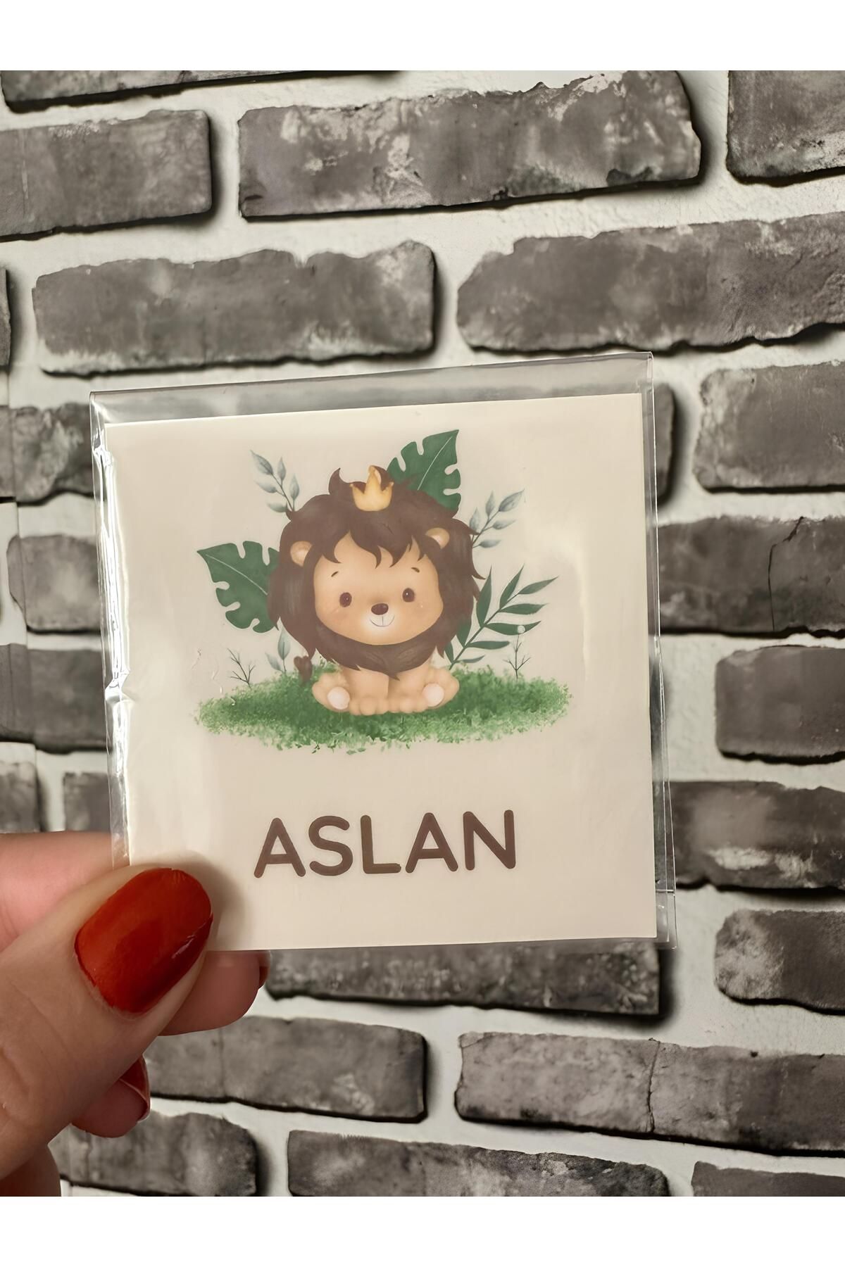 Renkia Studio Kişiye Özel 12’li Aslan Tasarımlı Magnet Seti – Bebek Doğum Hediyeliği