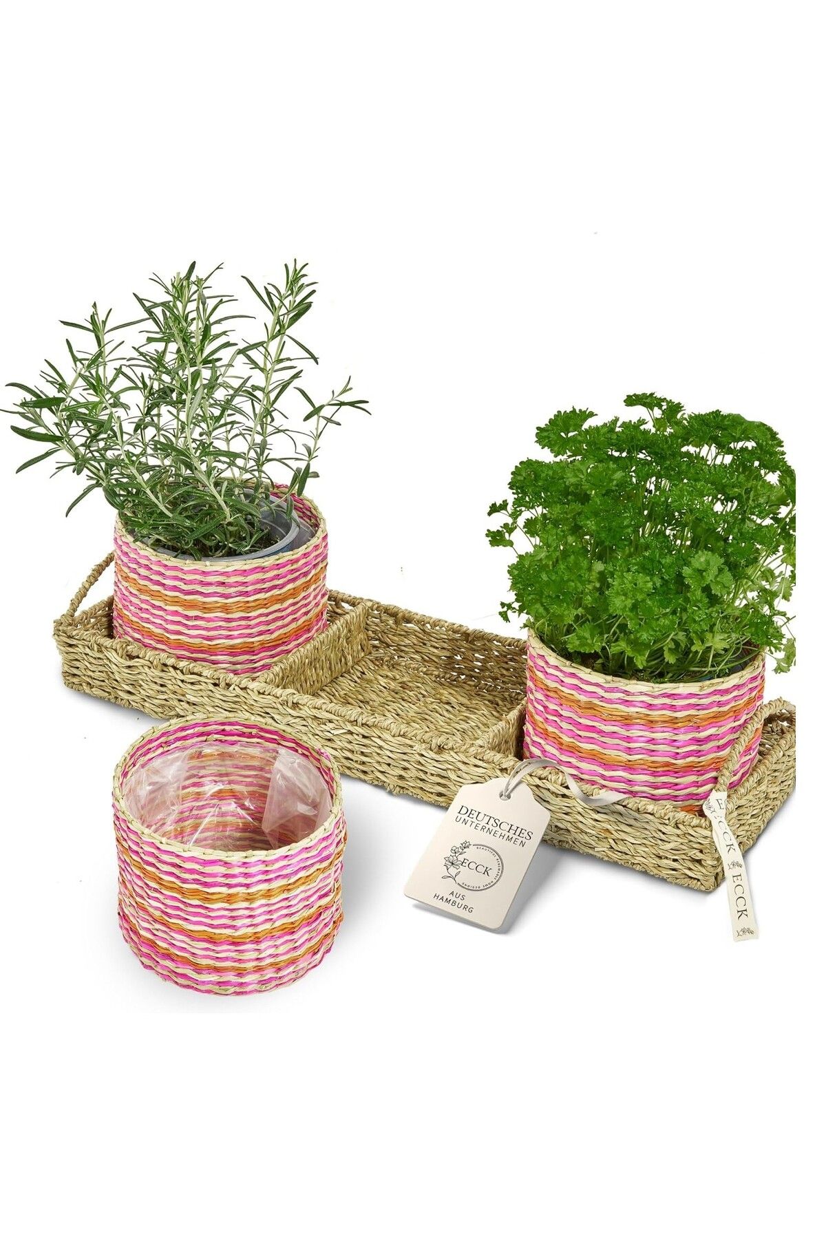 DELPI Flower Pot - Pink - 13 X 16 X 51 Cm - One Size