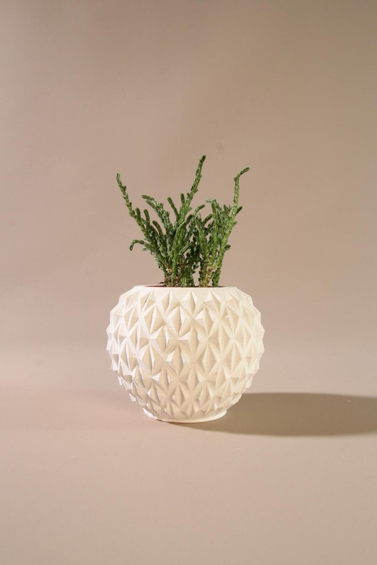 Lea Concept Artesa Mini Beton Saksı