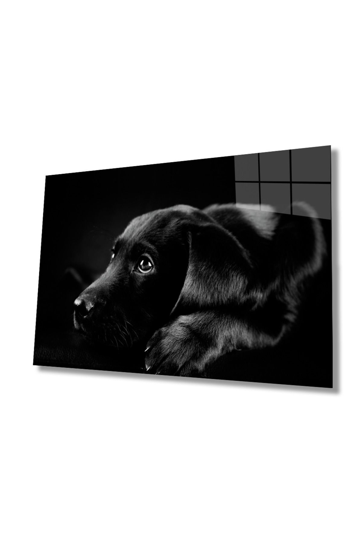 Evlika Köpek Cam Tablo