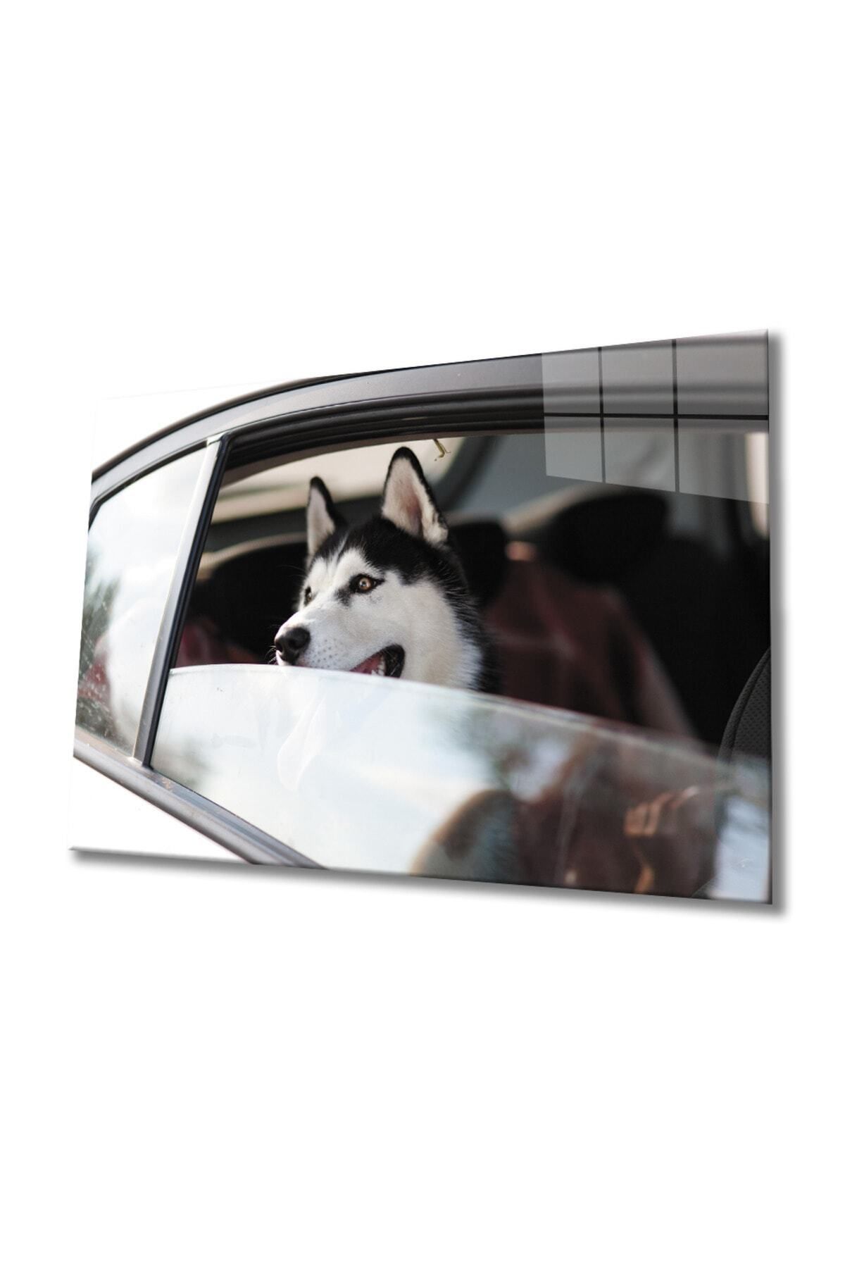 Evlika Köpek 4 Cam Tablo