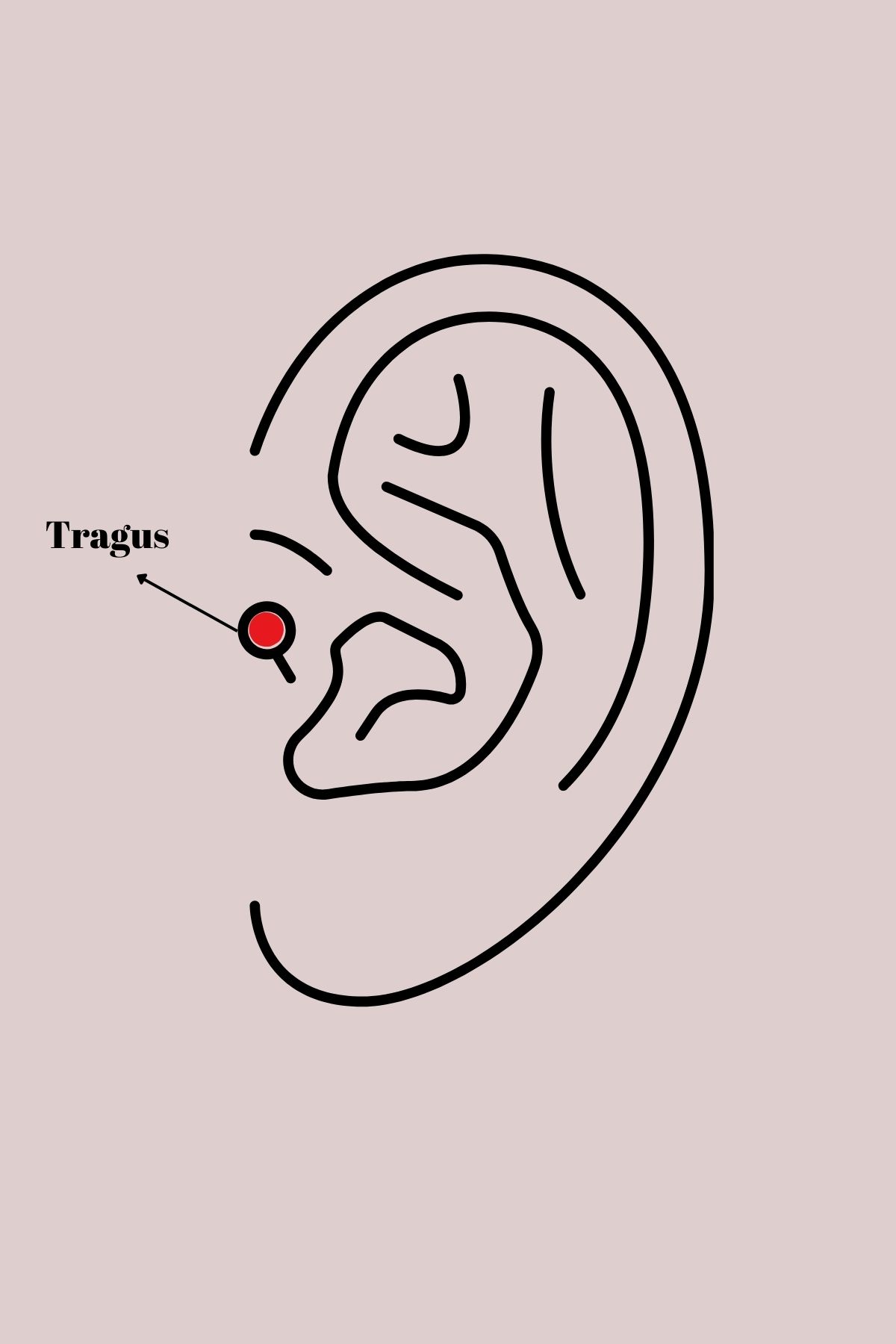 melfxxl eticaret 316L Çelik Gold Renk Pembe Zirkon Taşlı Kalp Tragus Piercing - Lisinya