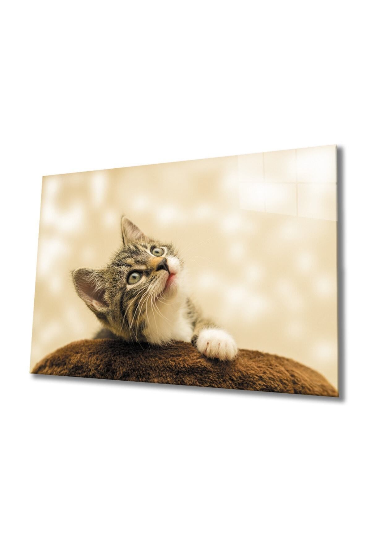 Evlika Kedi 3 Cam Tablo