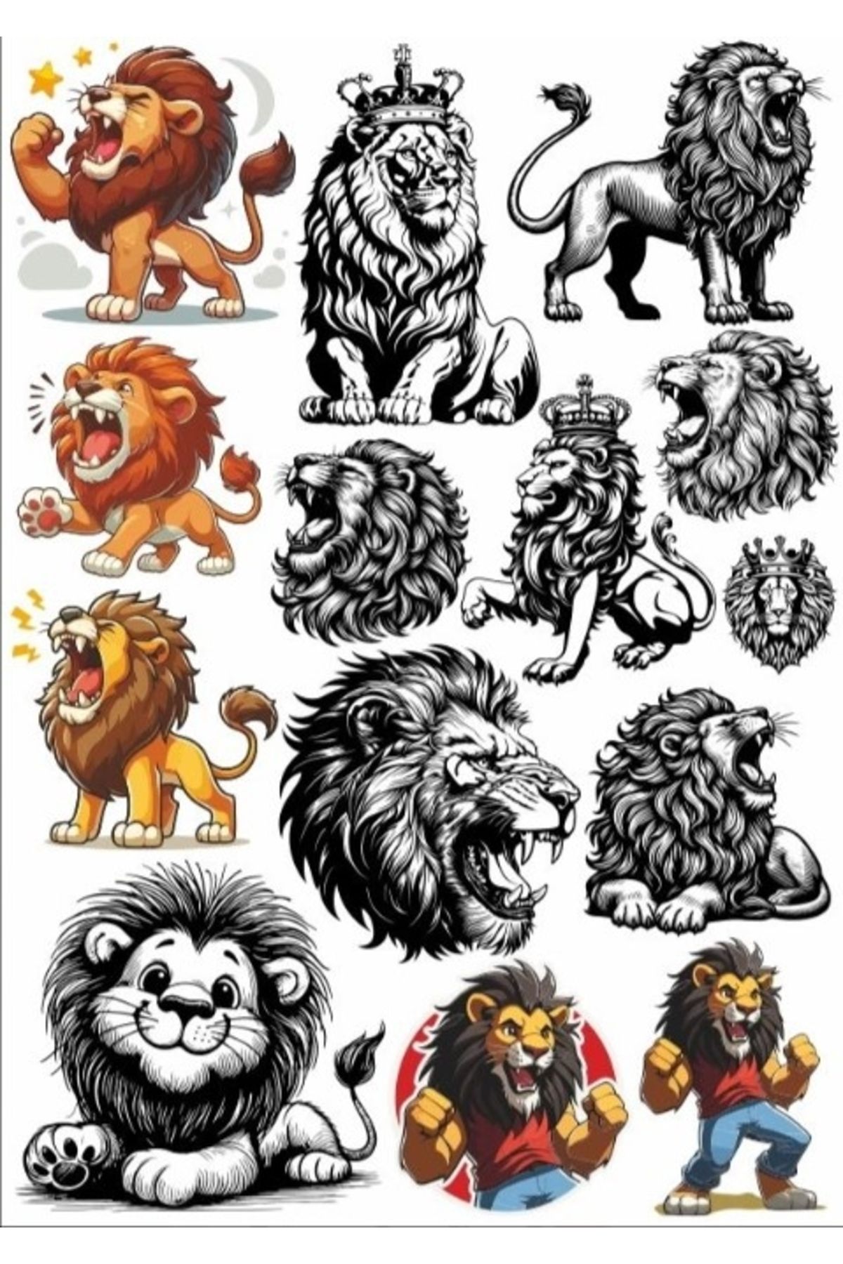 Reysa Tasarım Aslan Sticker Set