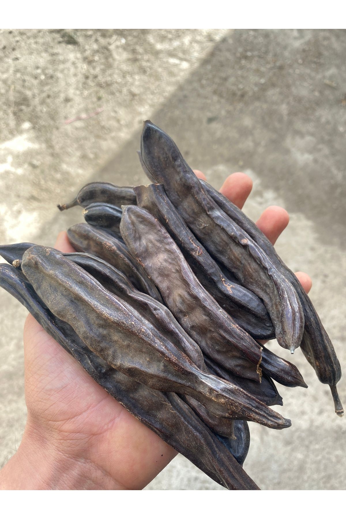 yöresel KEÇİBOYNUZU 1000GR