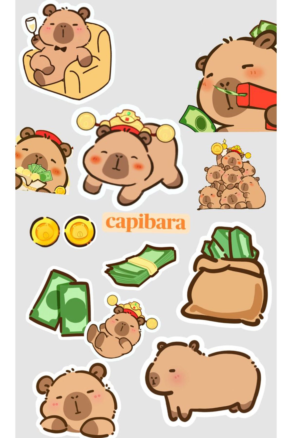 BK Design Capibara Sticker Telefon Laptop Notebook Tablet Defter Matara Stiker Etiket ST1701