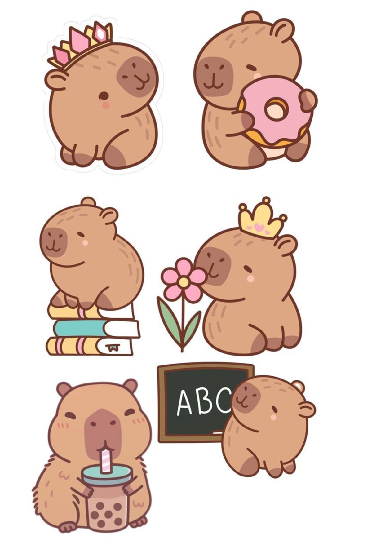 BK Design Capybara Sticker Telefon Laptop Notebook Tablet Defter Matara Stiker Etiket ST1765