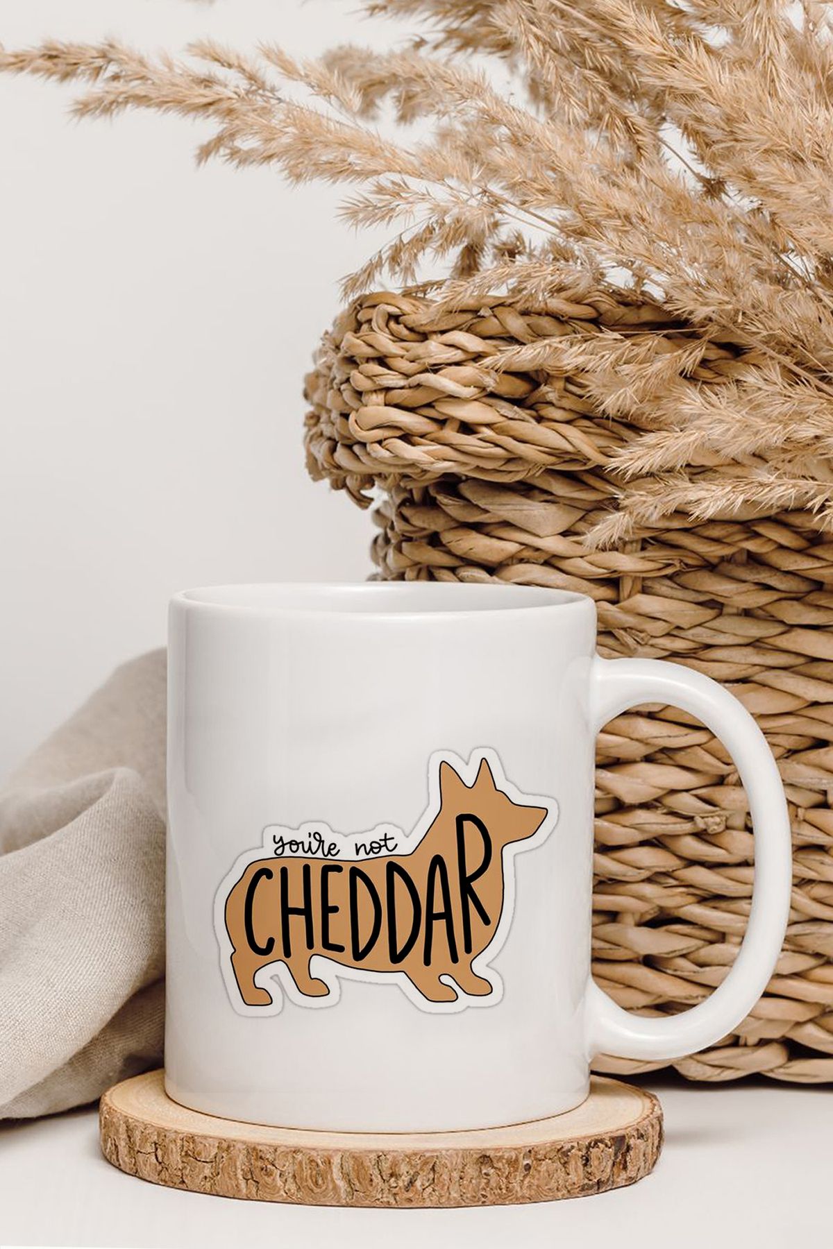 shop Brooklyn 99 You're Not Cheddar Tasarım Kupa