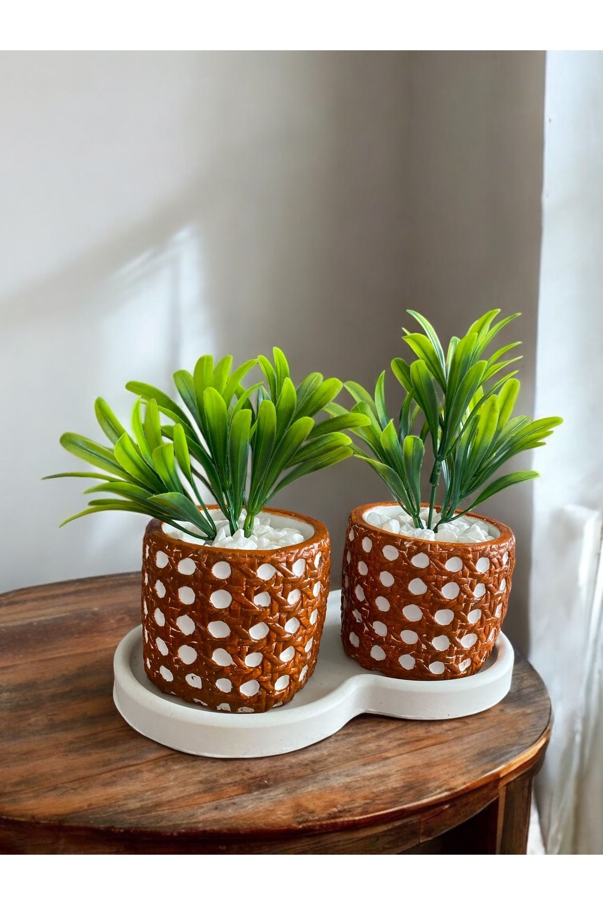 Momiko Hazeran Desenli 3lü Dekoratif Minik Beton Sukulent Saksısı, Hazeran Saksı, ÇİÇEKSİZDİR, 7X8 cm