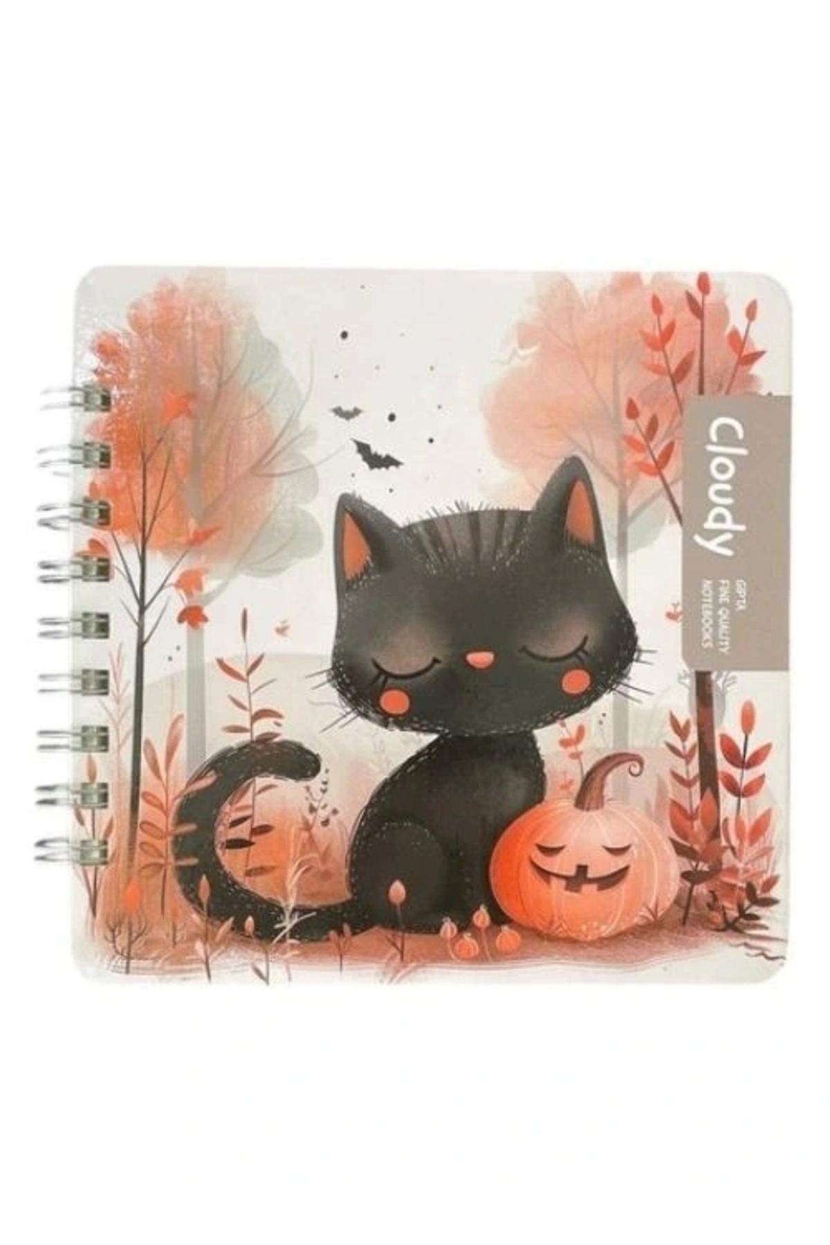 GIPTA ET CLOUDY SP SERT KAPAK DEFTER 16X16 100 YP ÇİZGİLİ