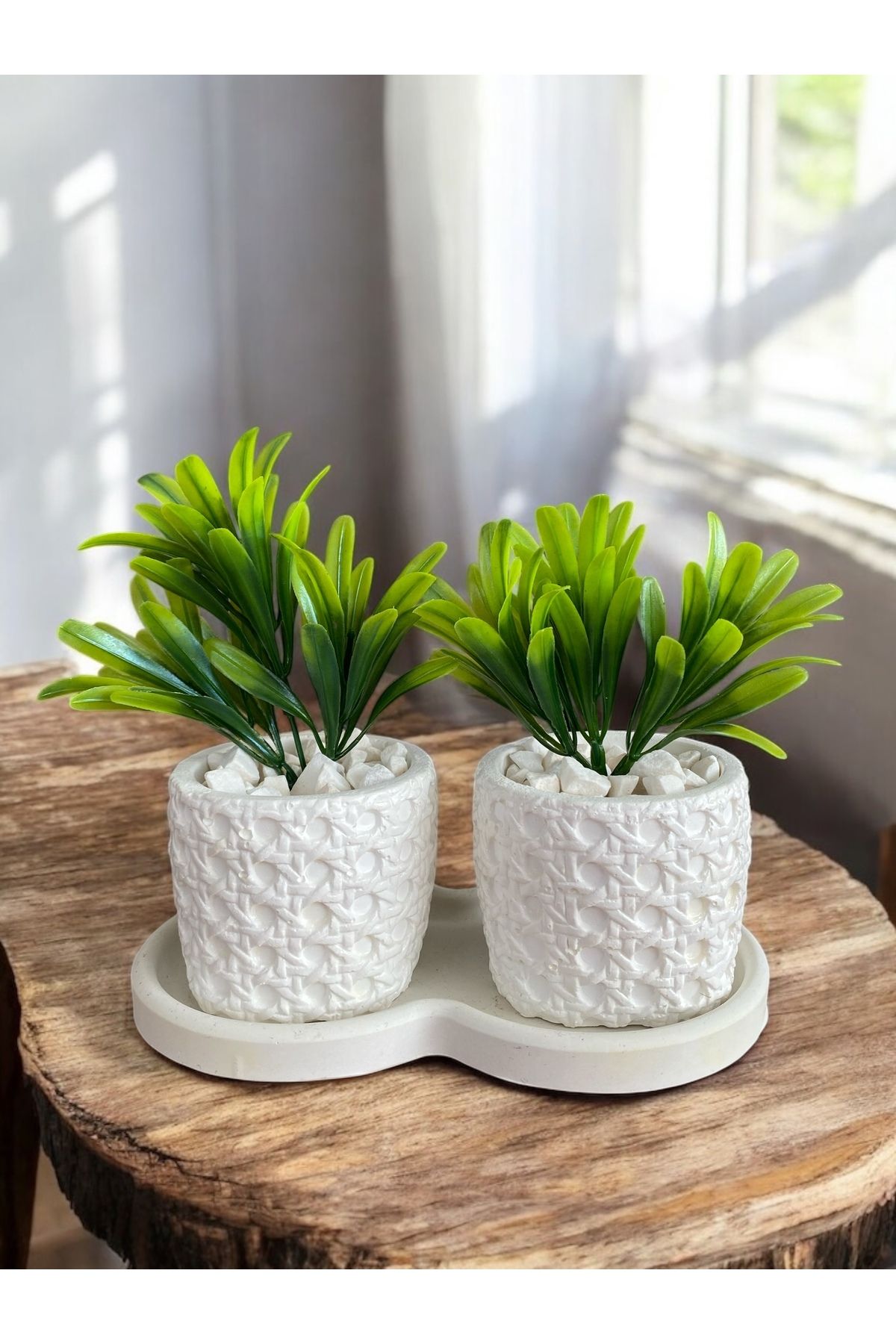 Momiko Hazeran Desenli 3lü Dekoratif Minik Beton Sukulent Saksısı, Hazeran Saksı, ÇİÇEKSİZDİR, 7X8 cm