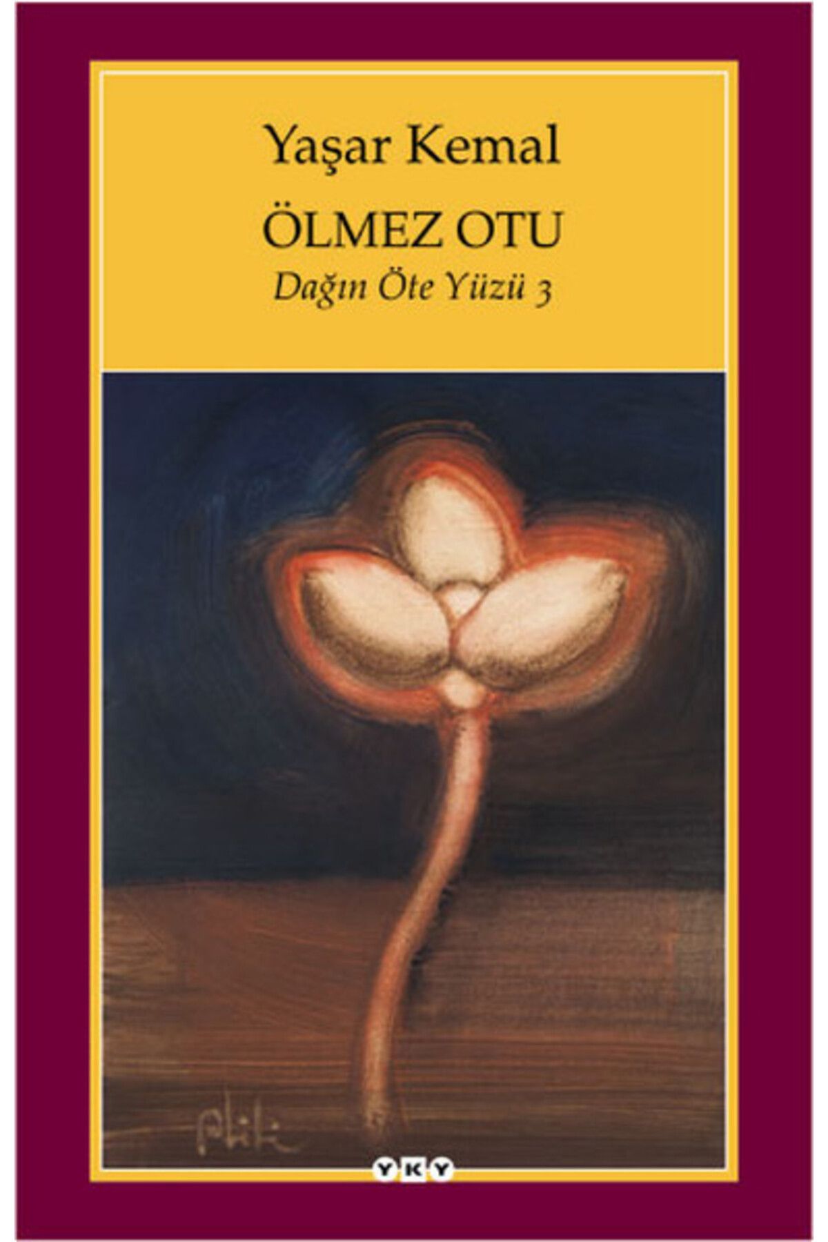Destek Yayınları Ölmez Otu Dağın Öte Yüzü 3