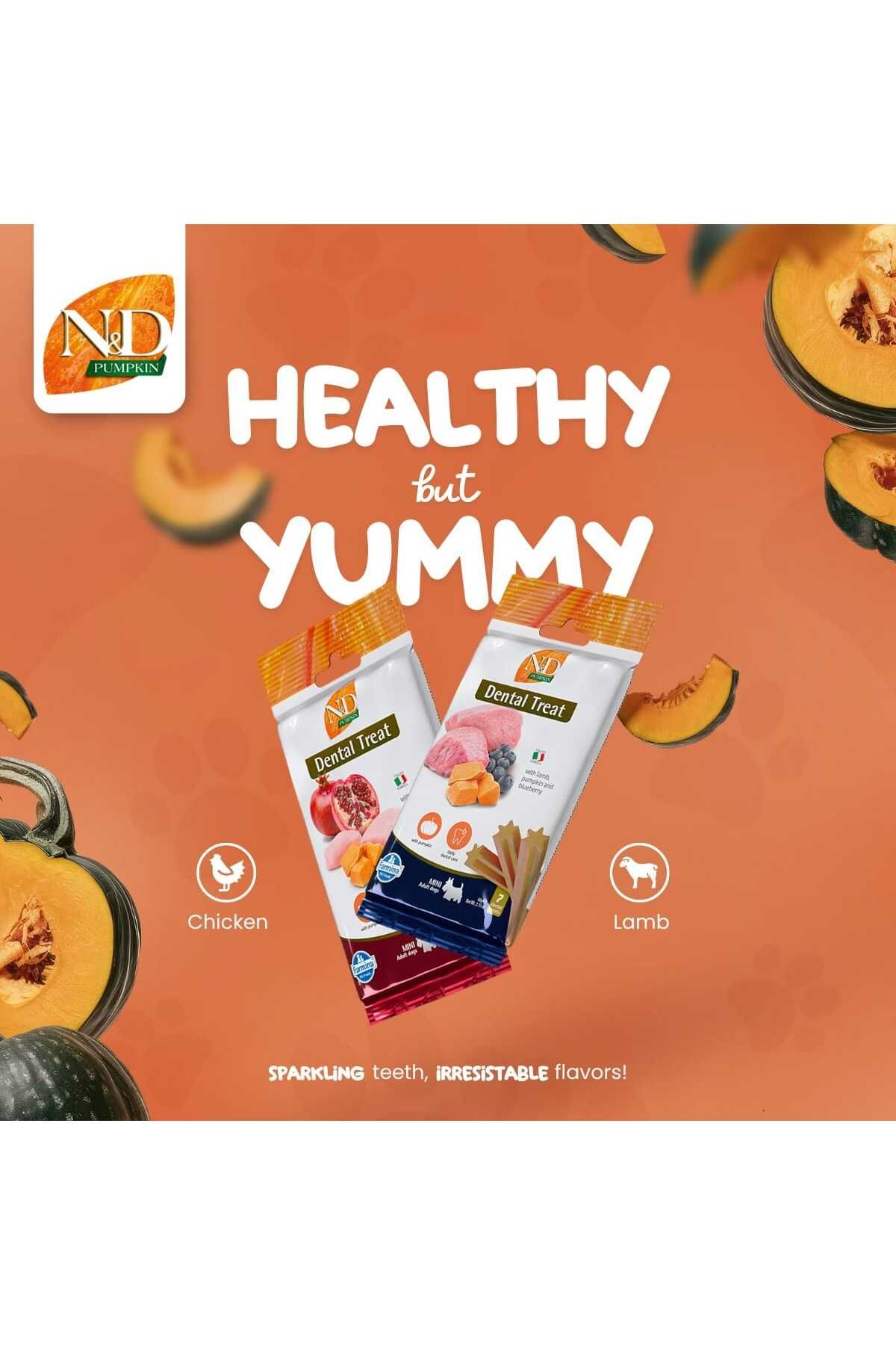 Farmina Dental Treat Pumpkin Chicken&Pomegranate Med/Max Köpek Ödül Maması 100 gr